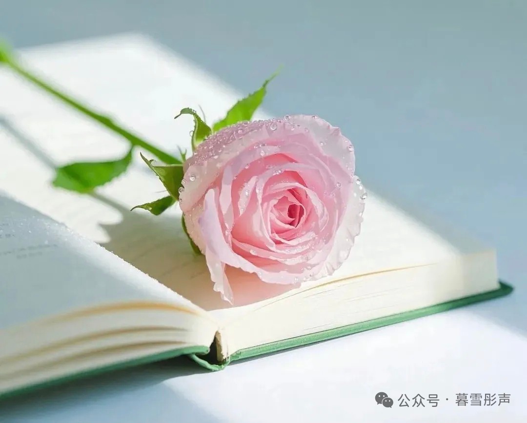 图片附件