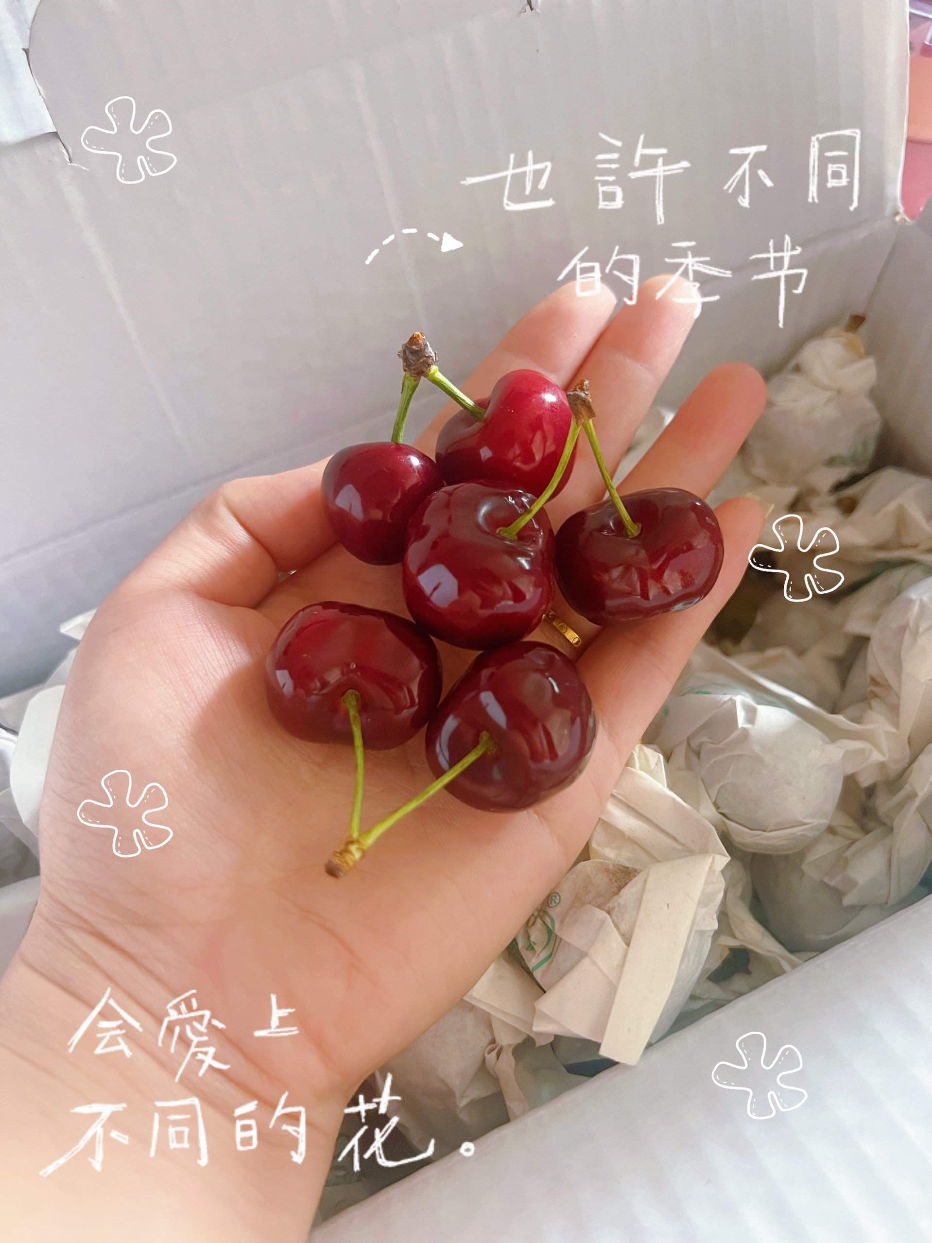 图片附件