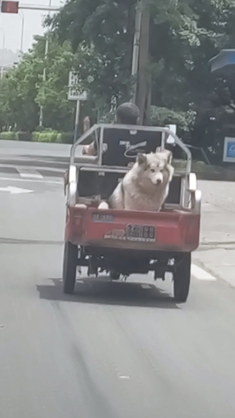 图片附件