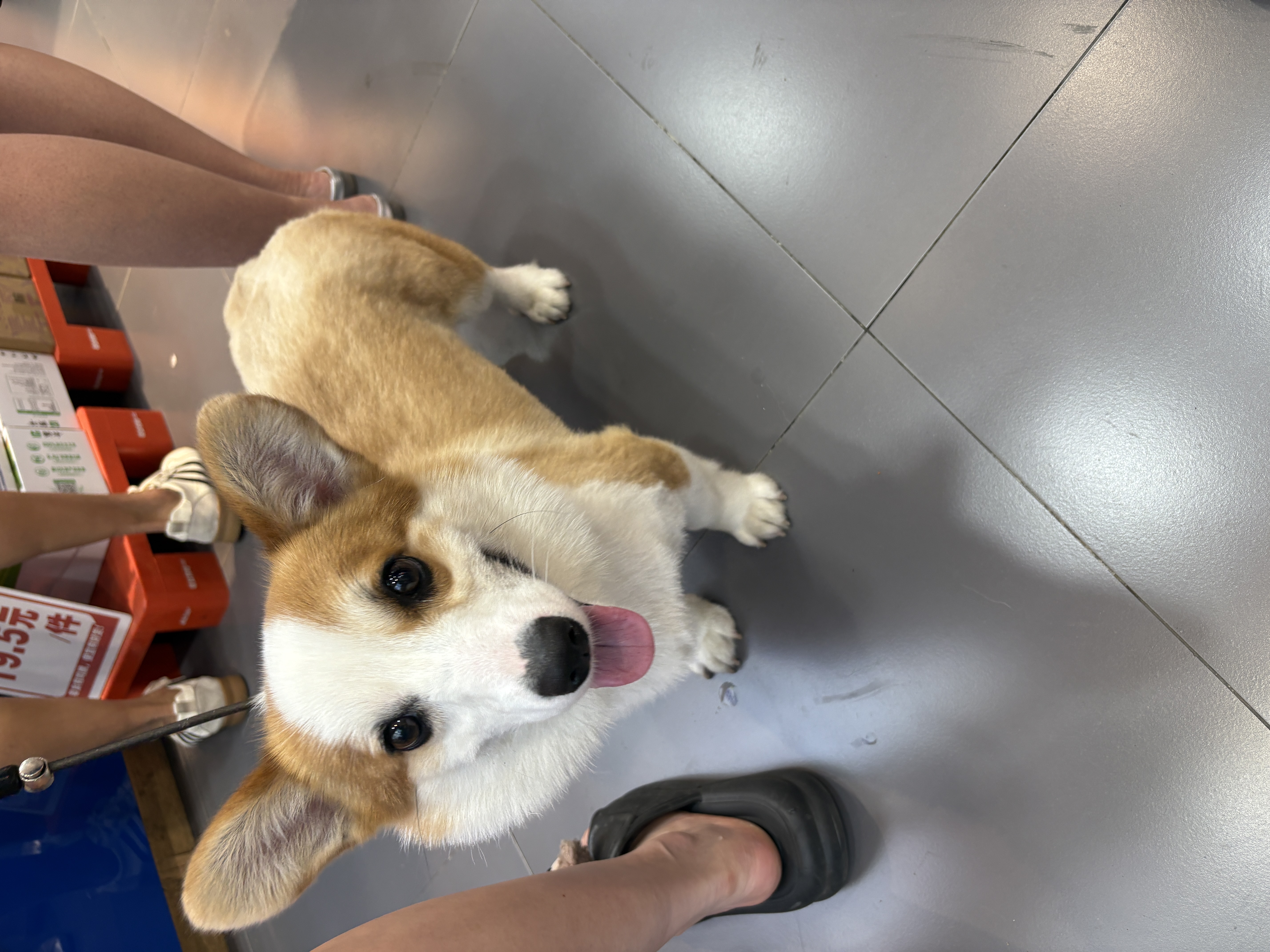 图片附件