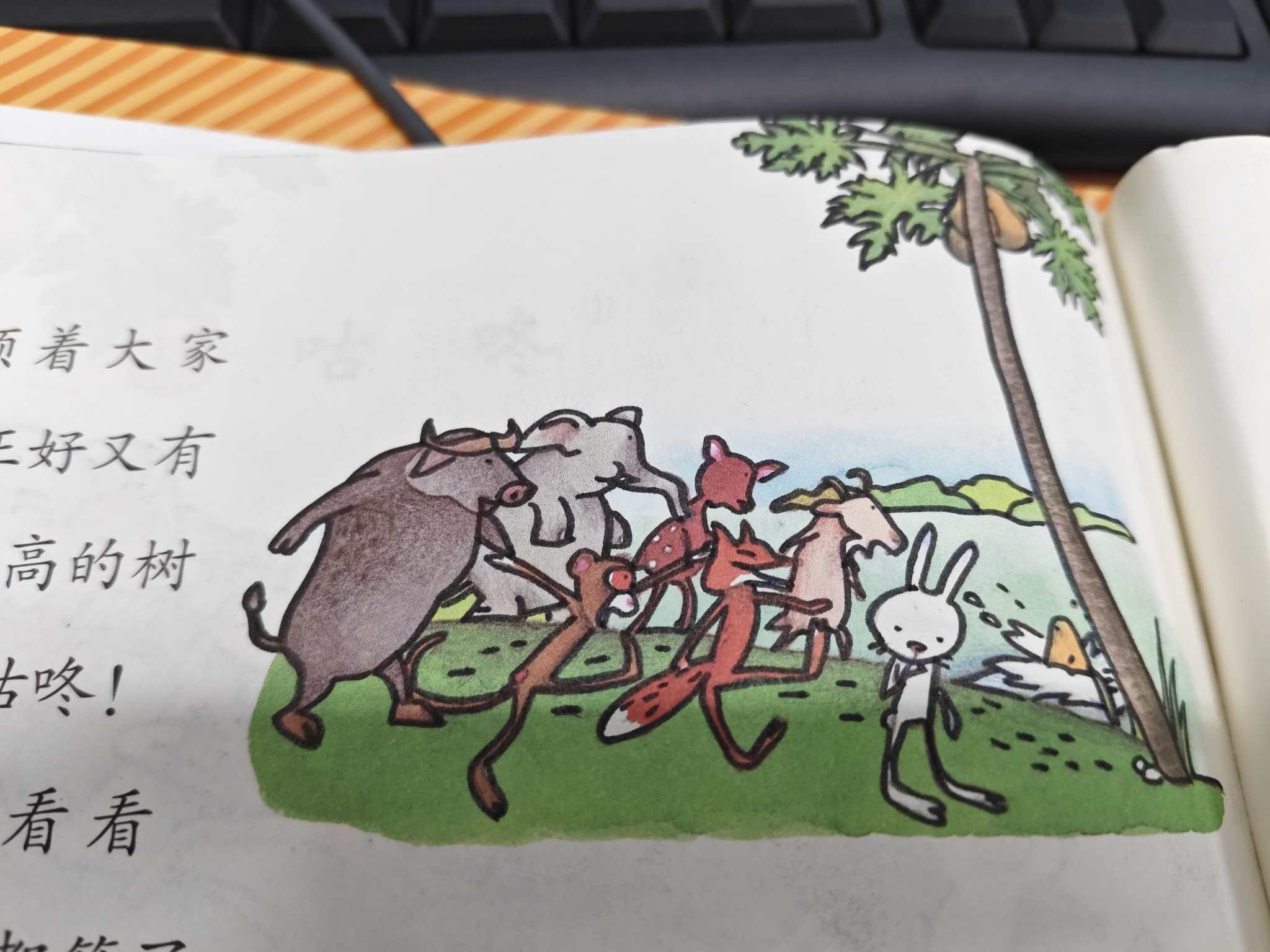 图片附件