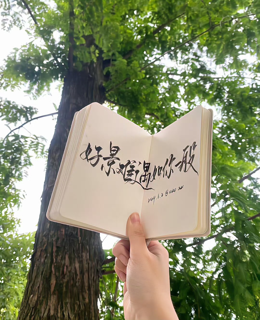 图片附件