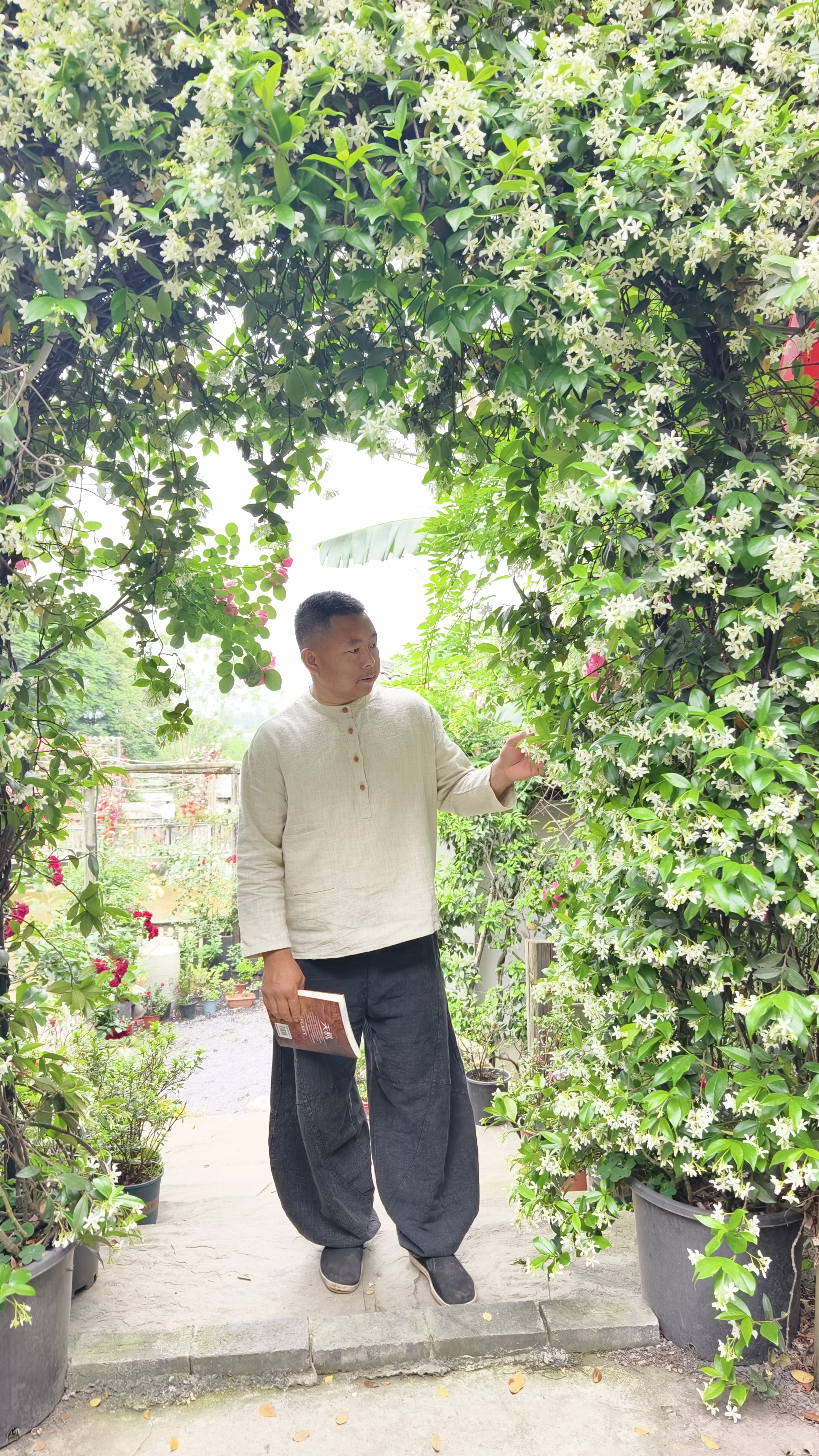 图片附件