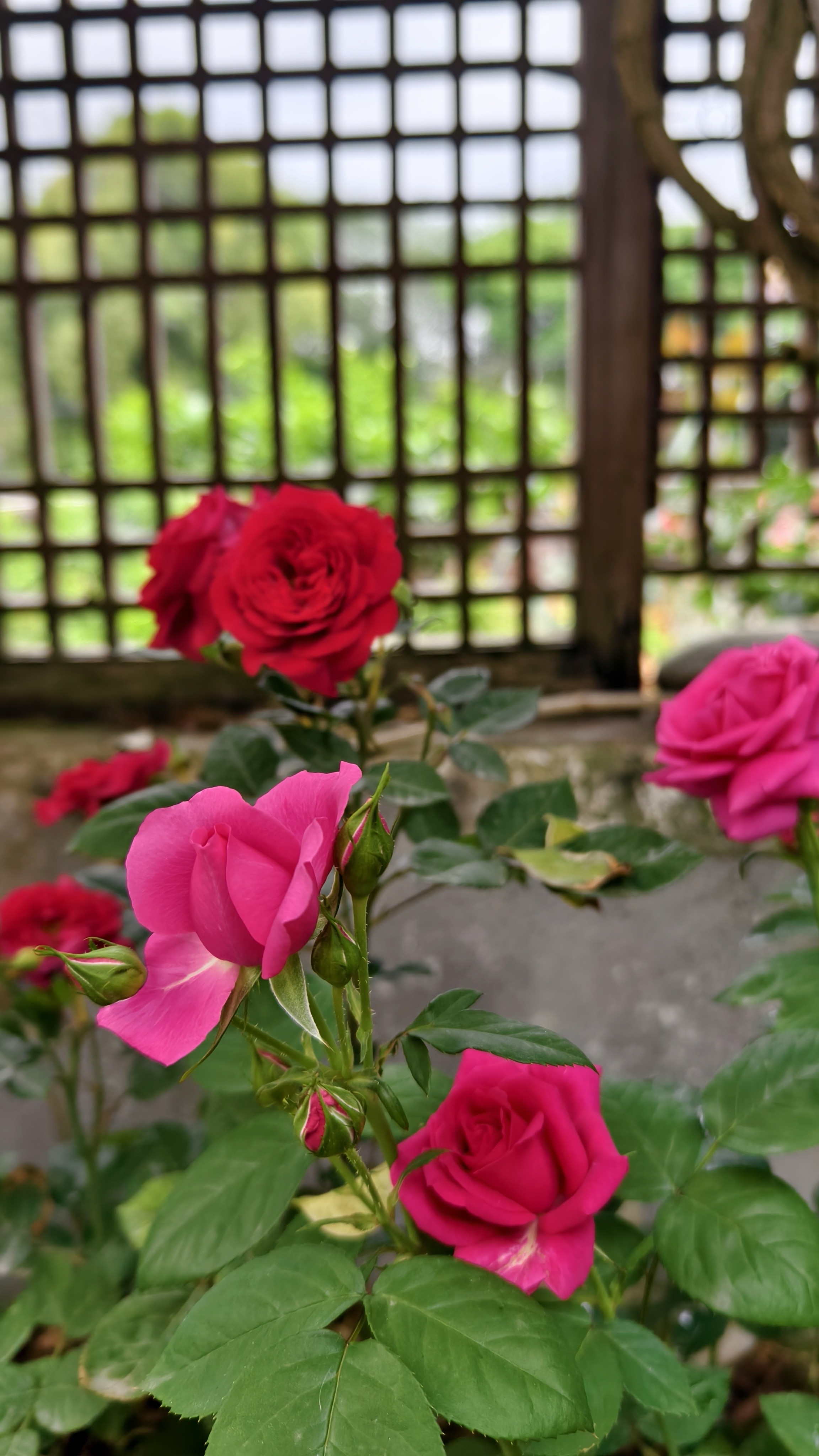 图片附件