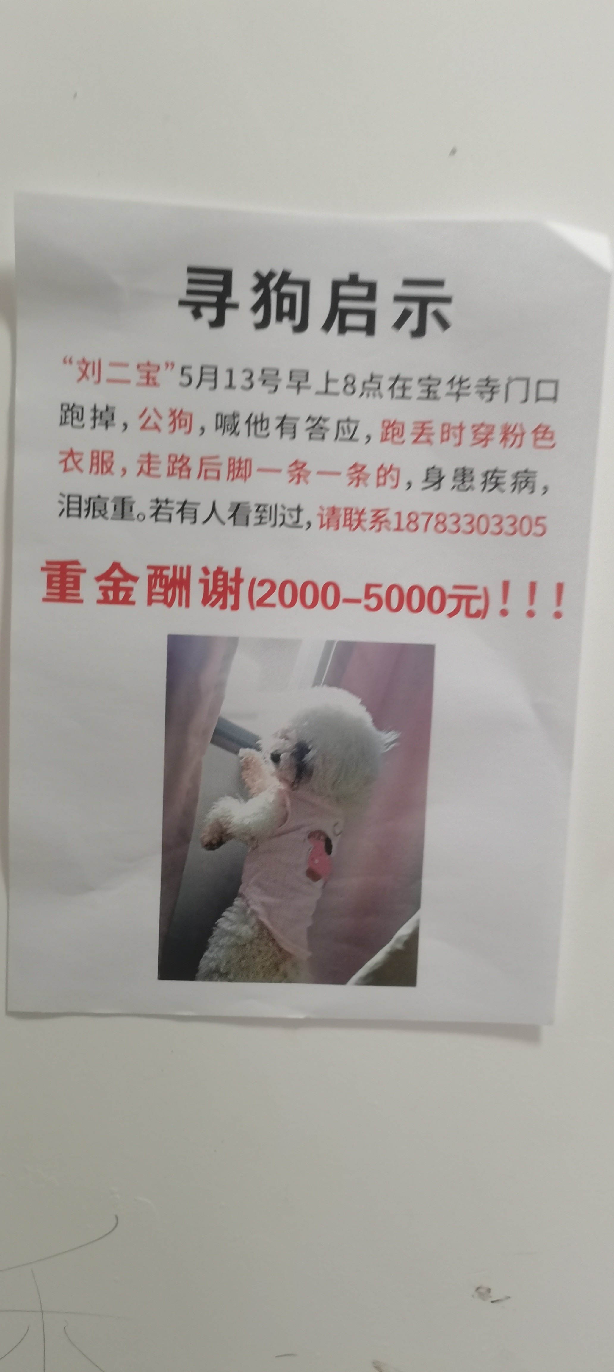 图片附件