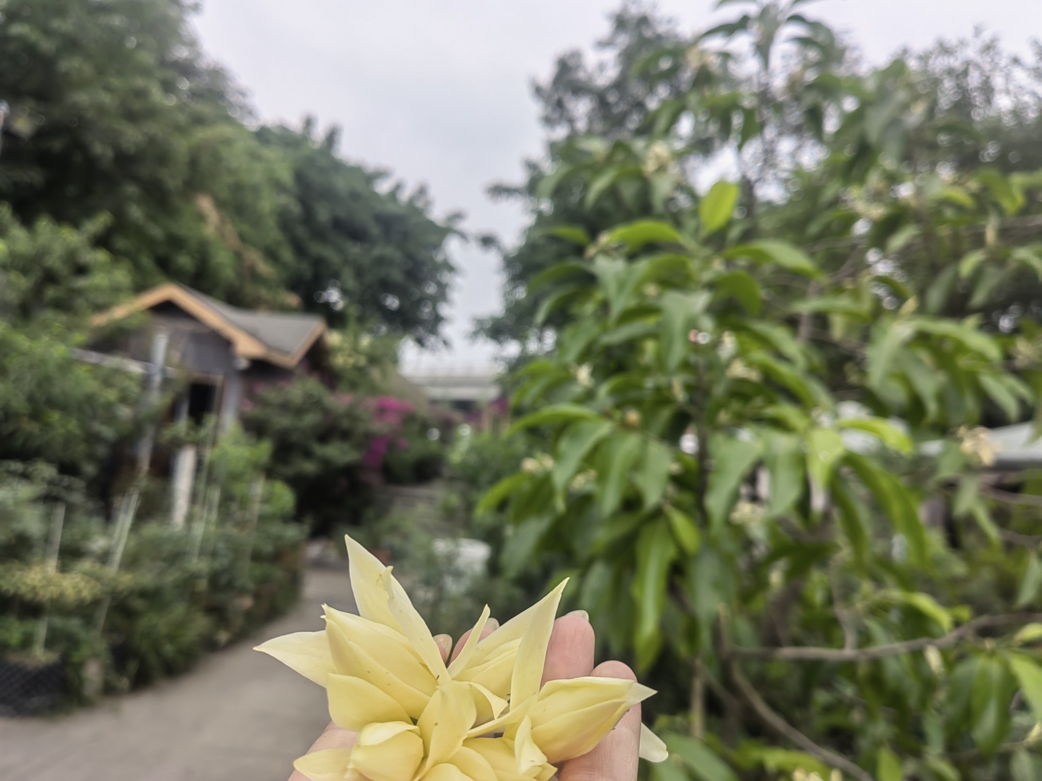 图片附件