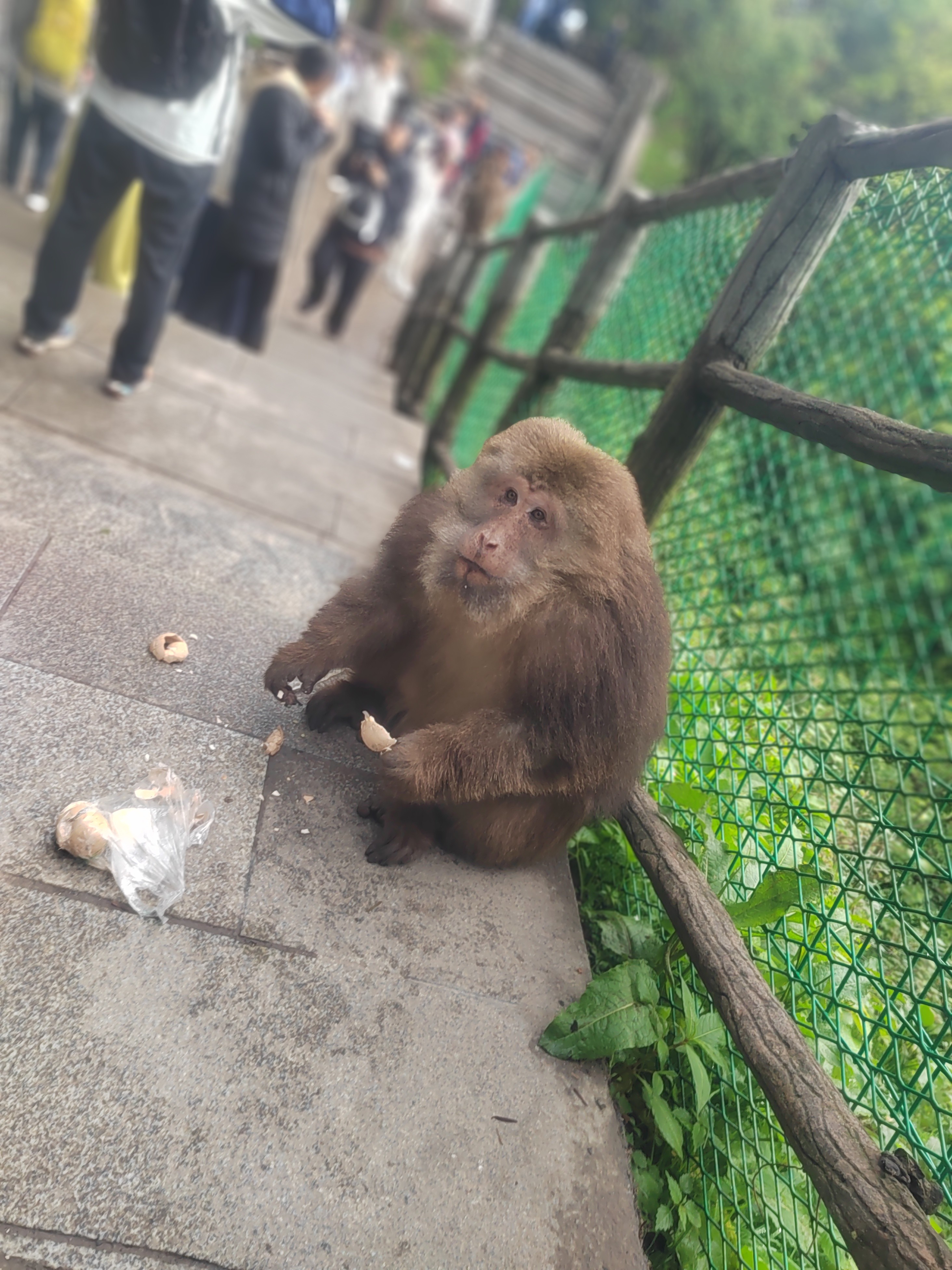 图片附件