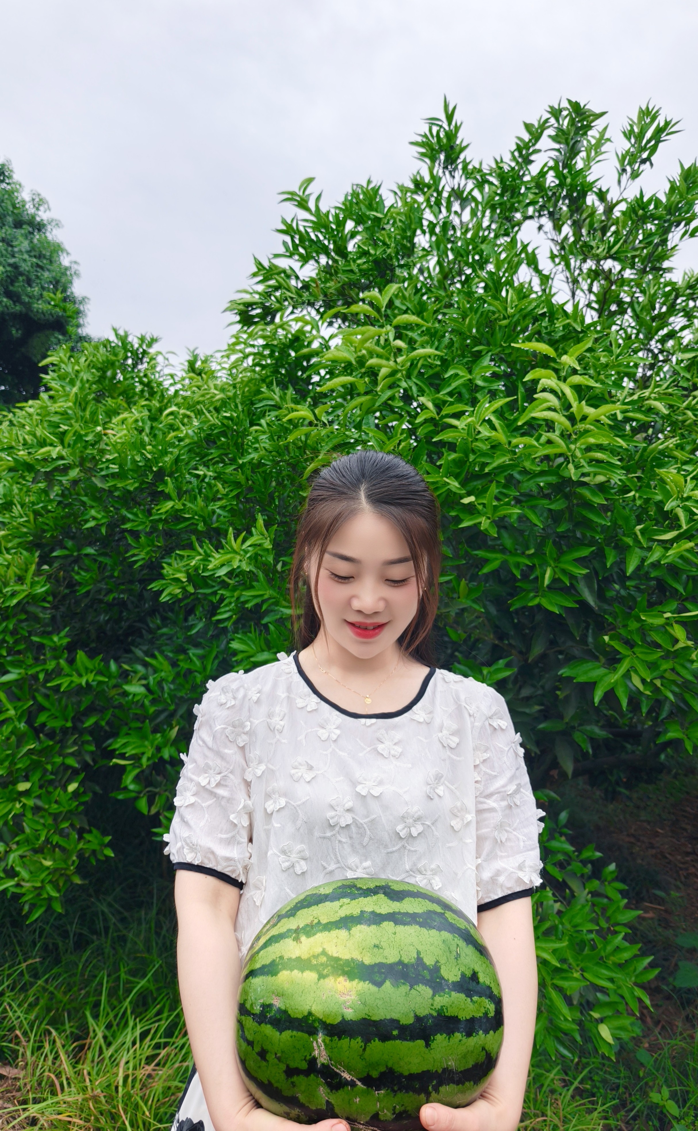 图片附件