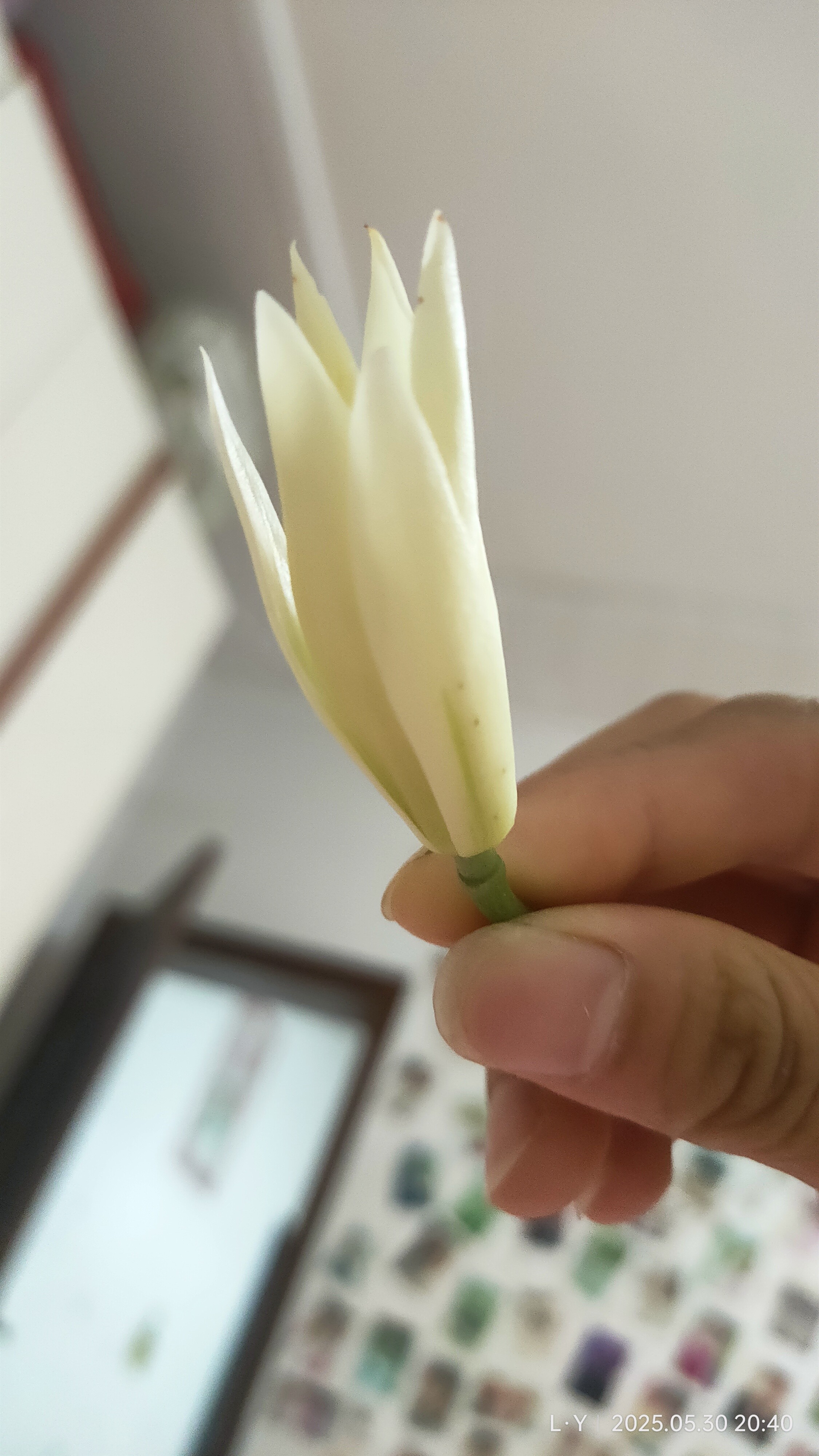 图片附件