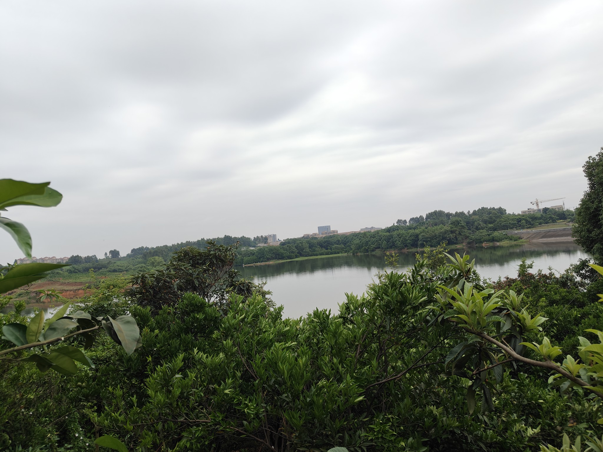 图片附件
