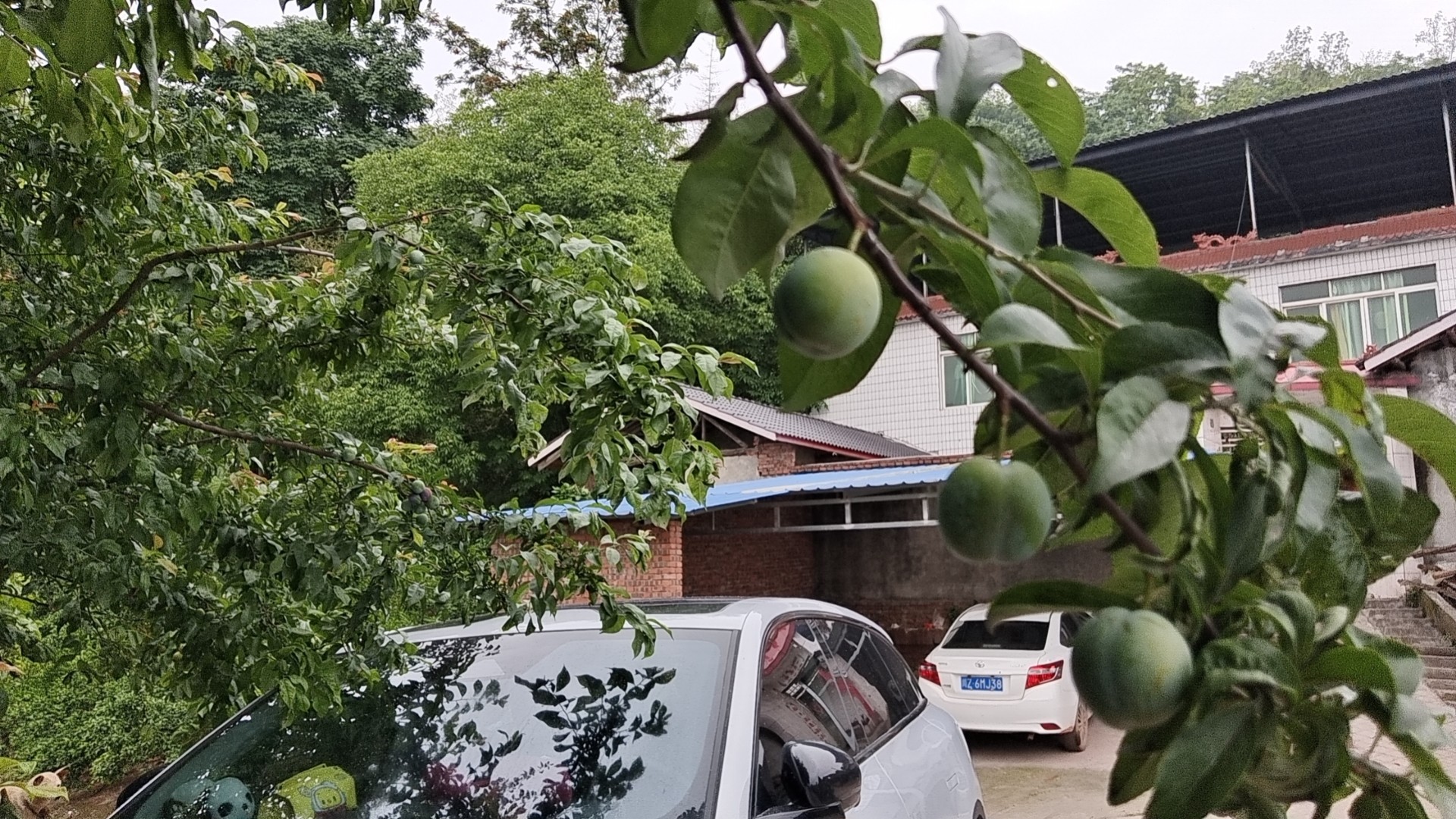 图片附件