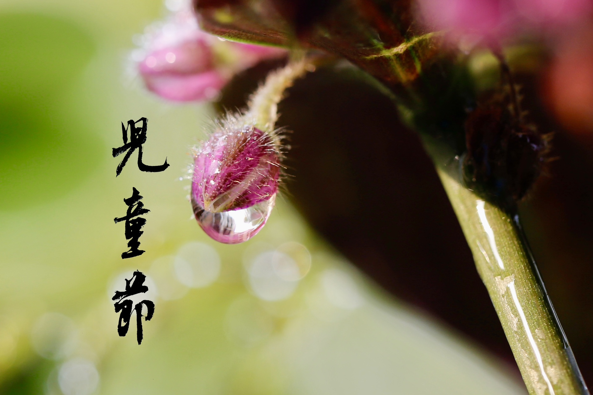 图片附件