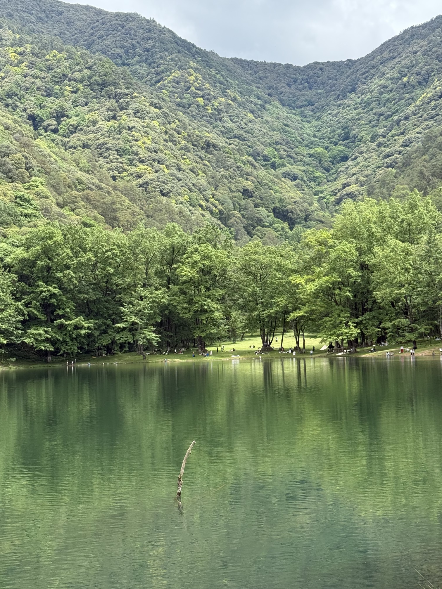 图片附件