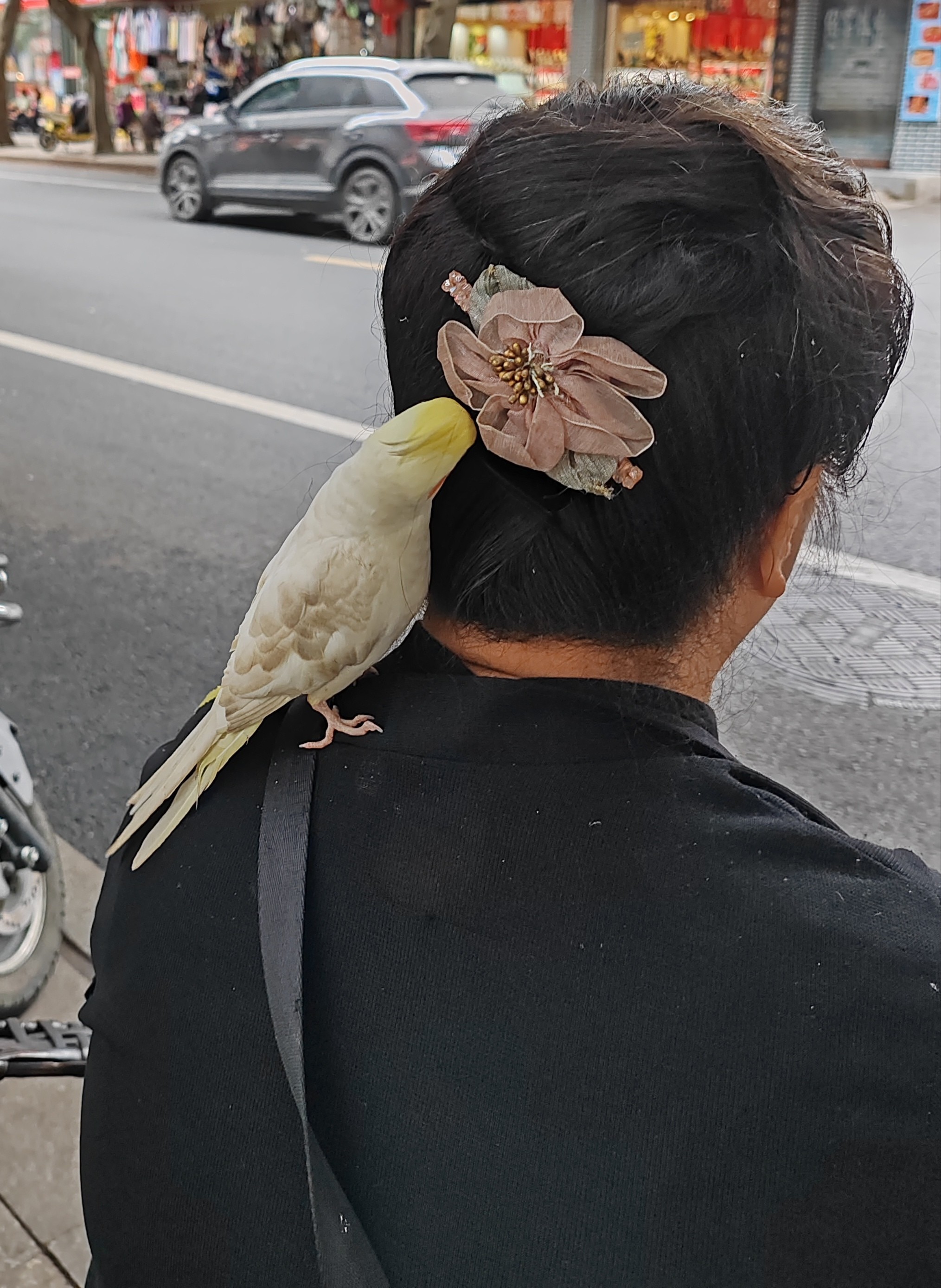 图片附件