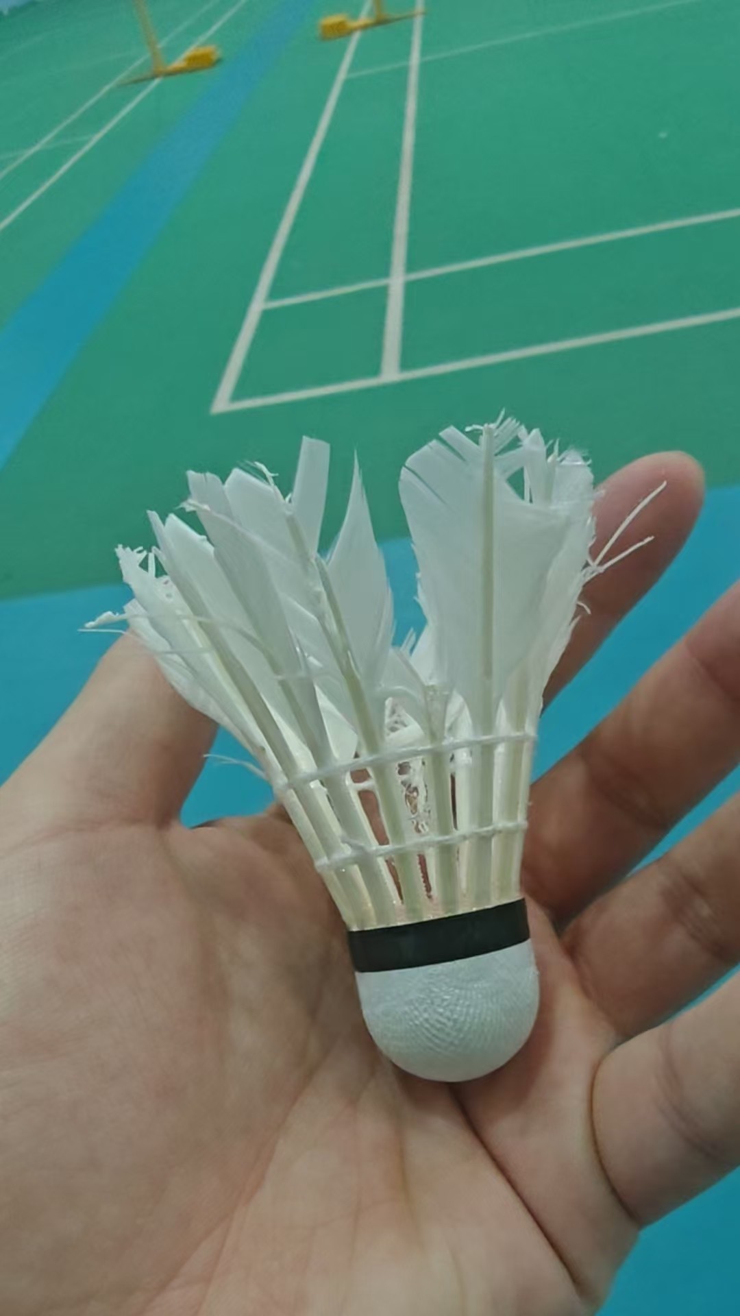 图片附件