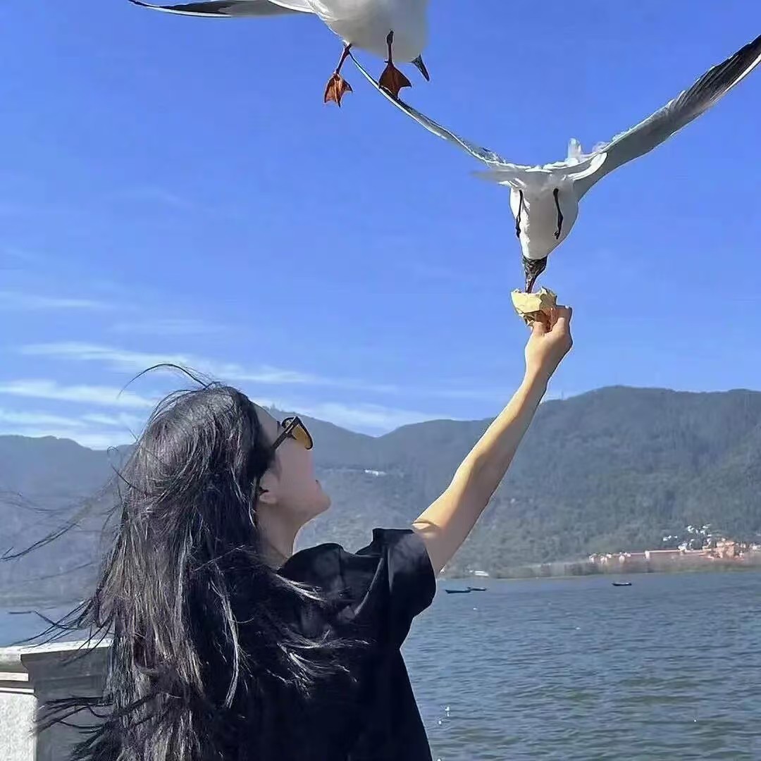 图片附件