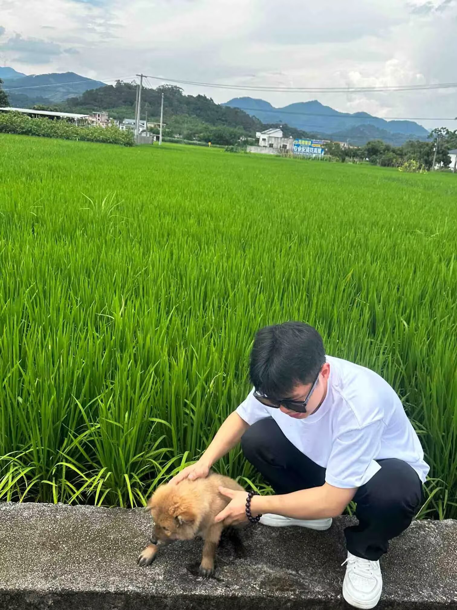 图片附件