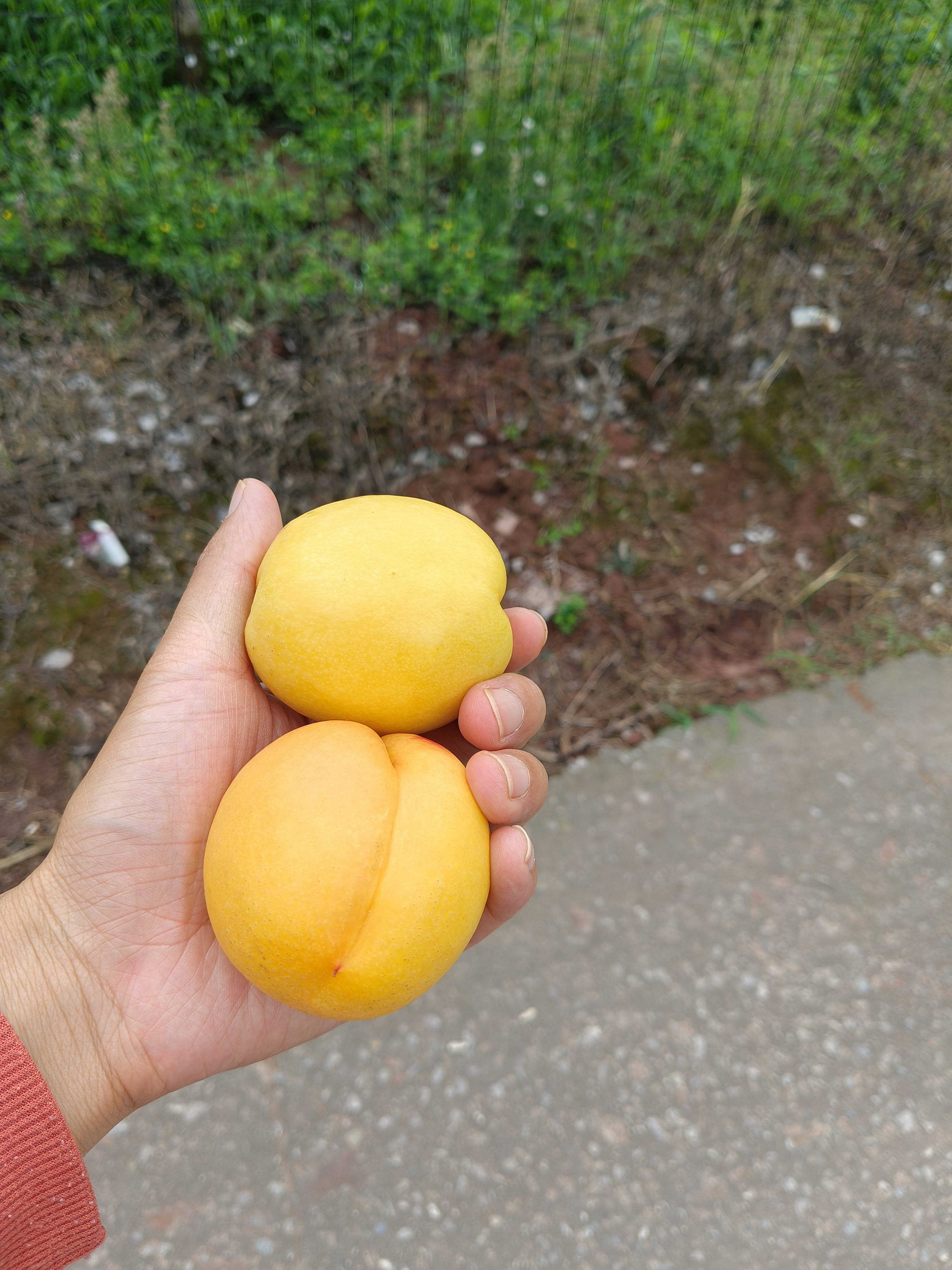 图片附件