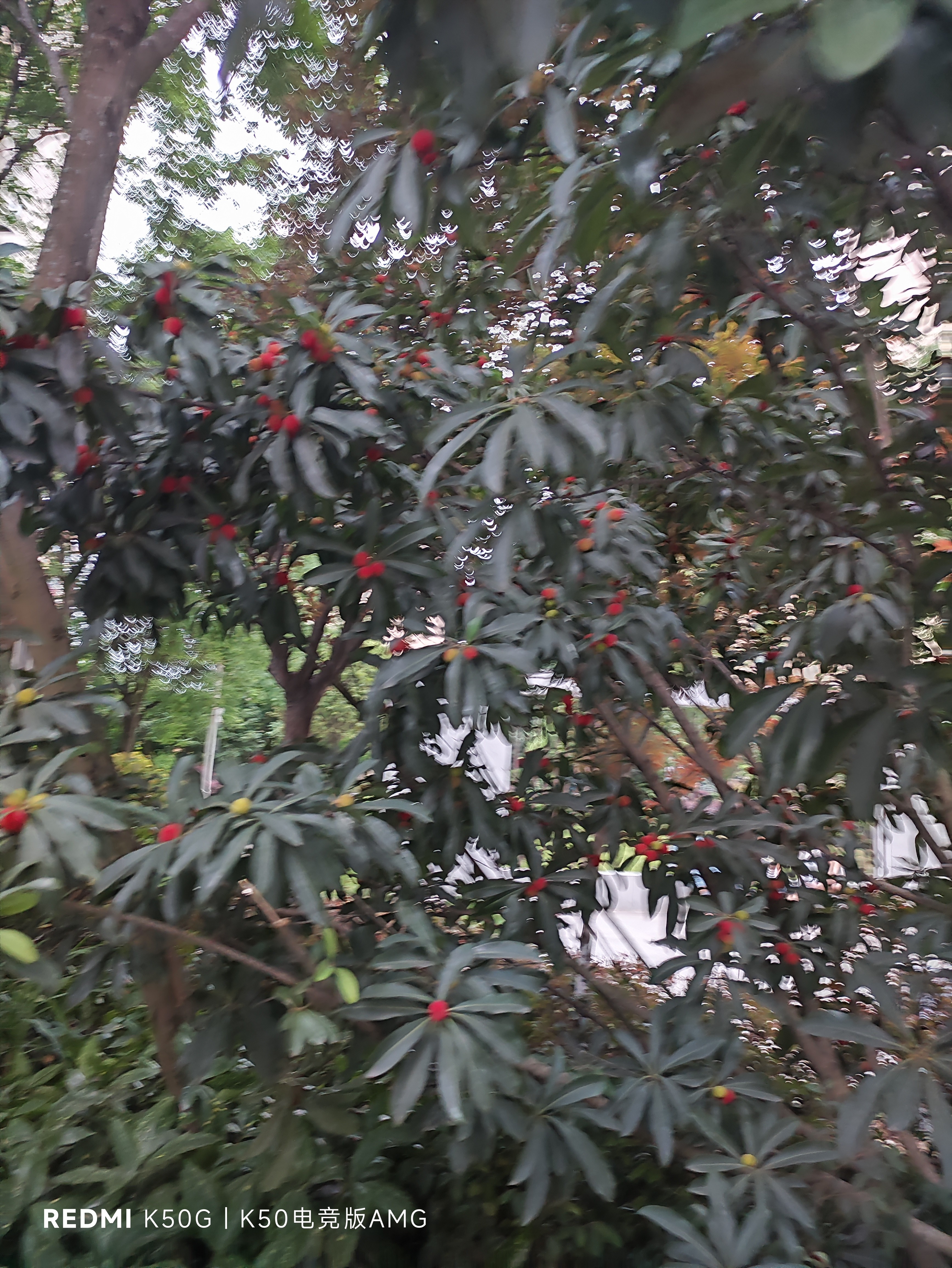 图片附件
