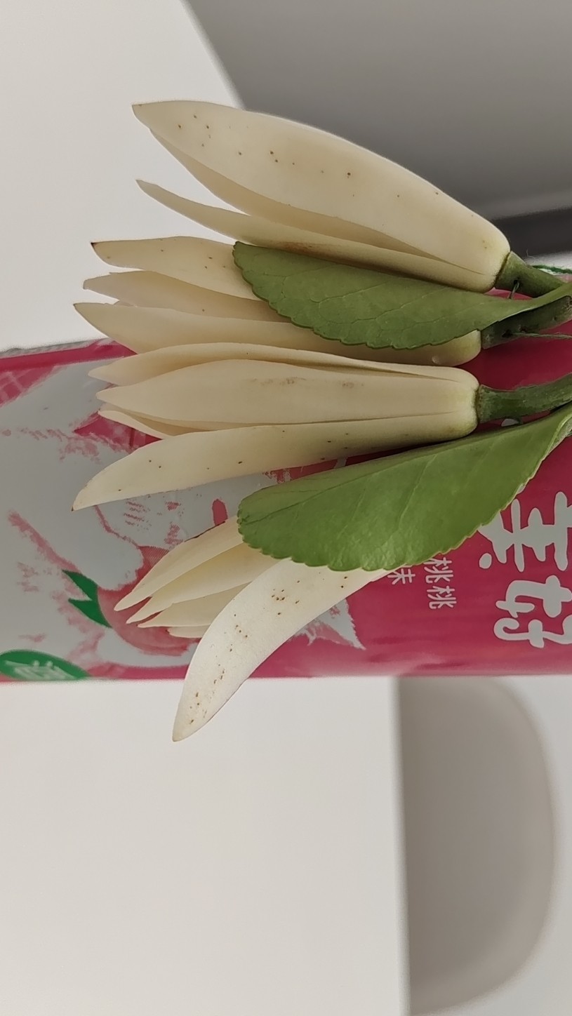 图片附件
