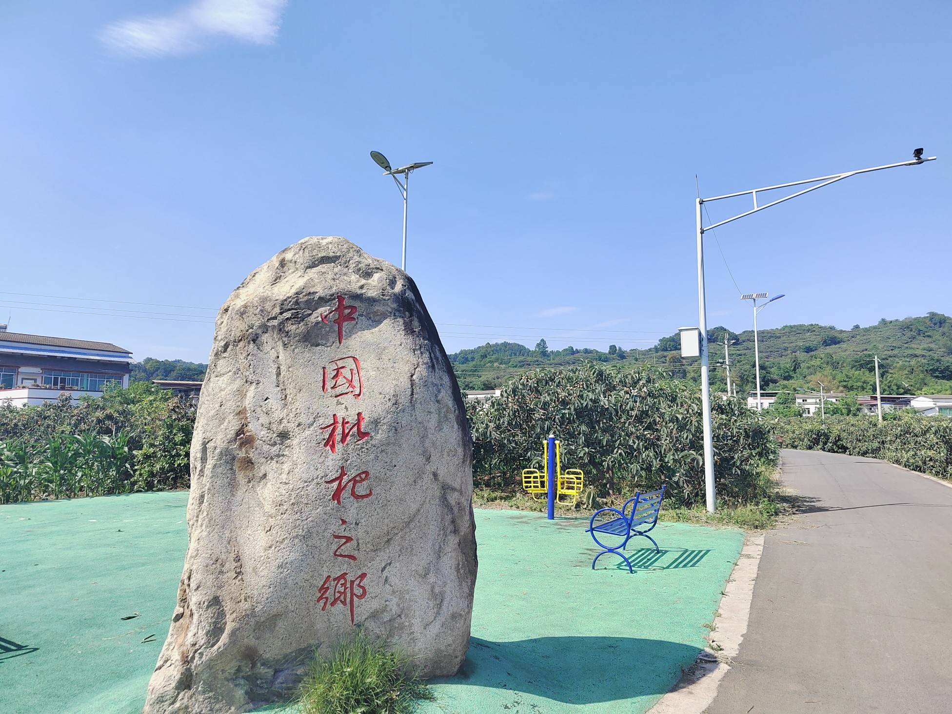 图片附件