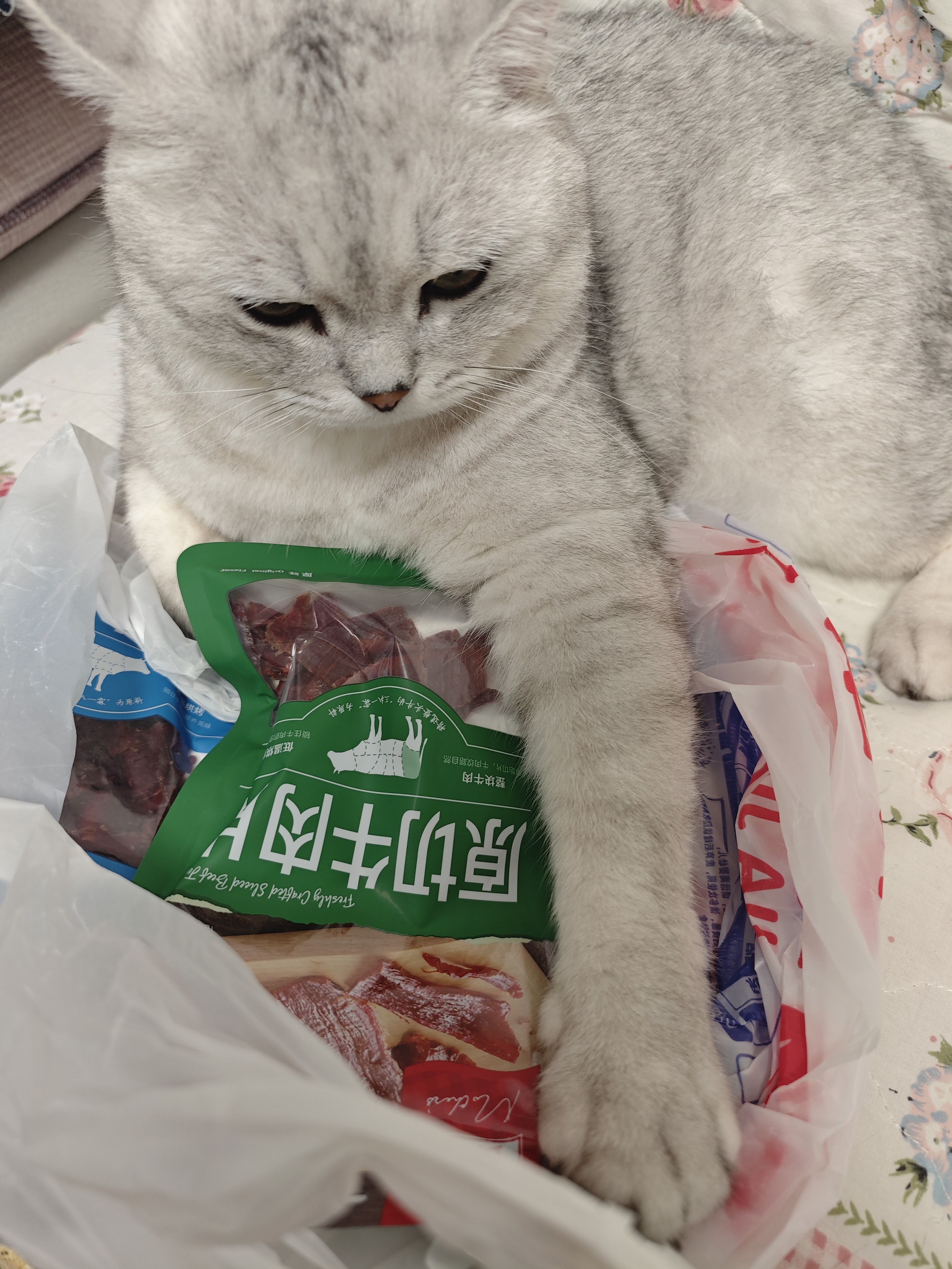 图片附件