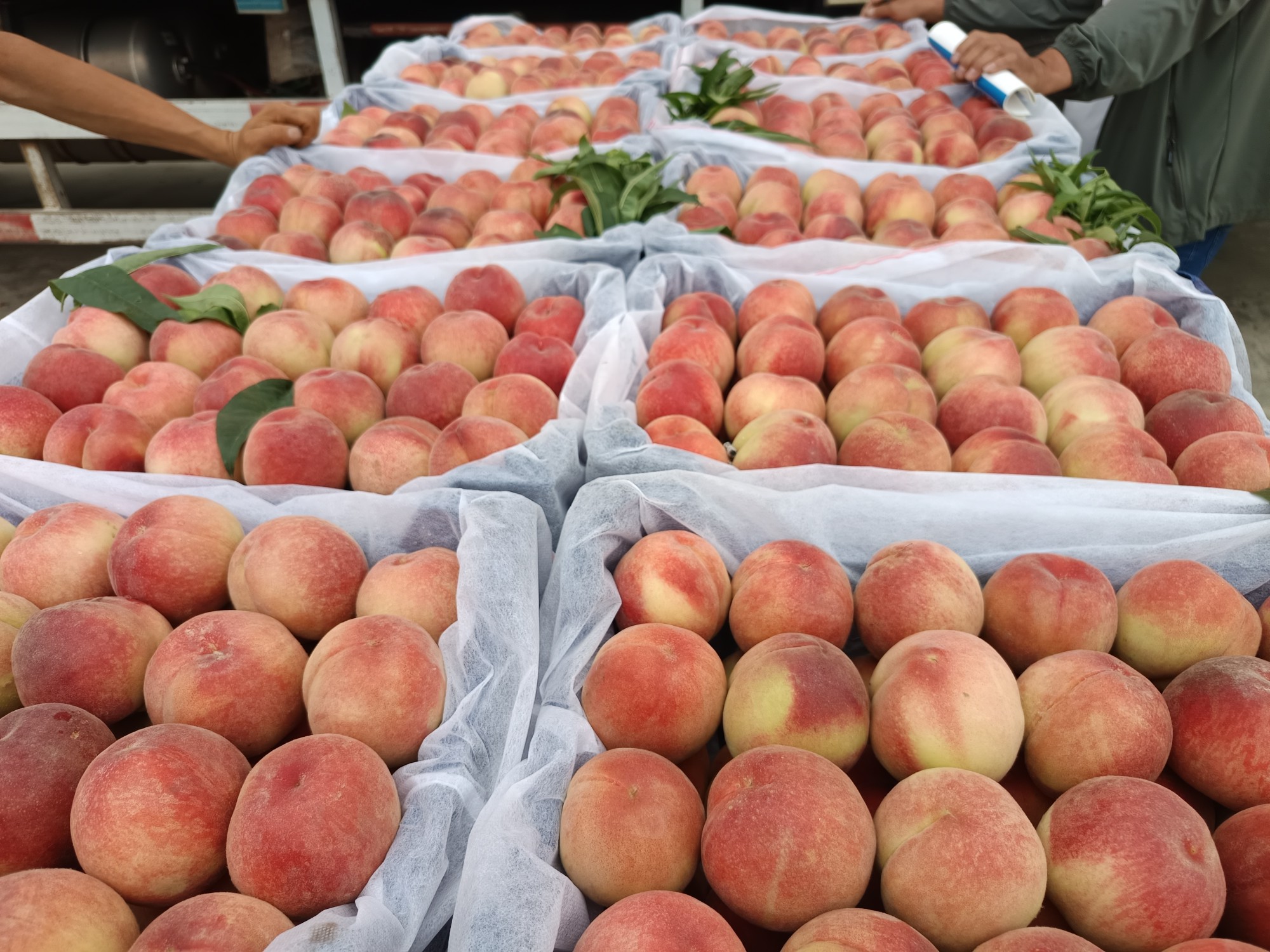 图片附件