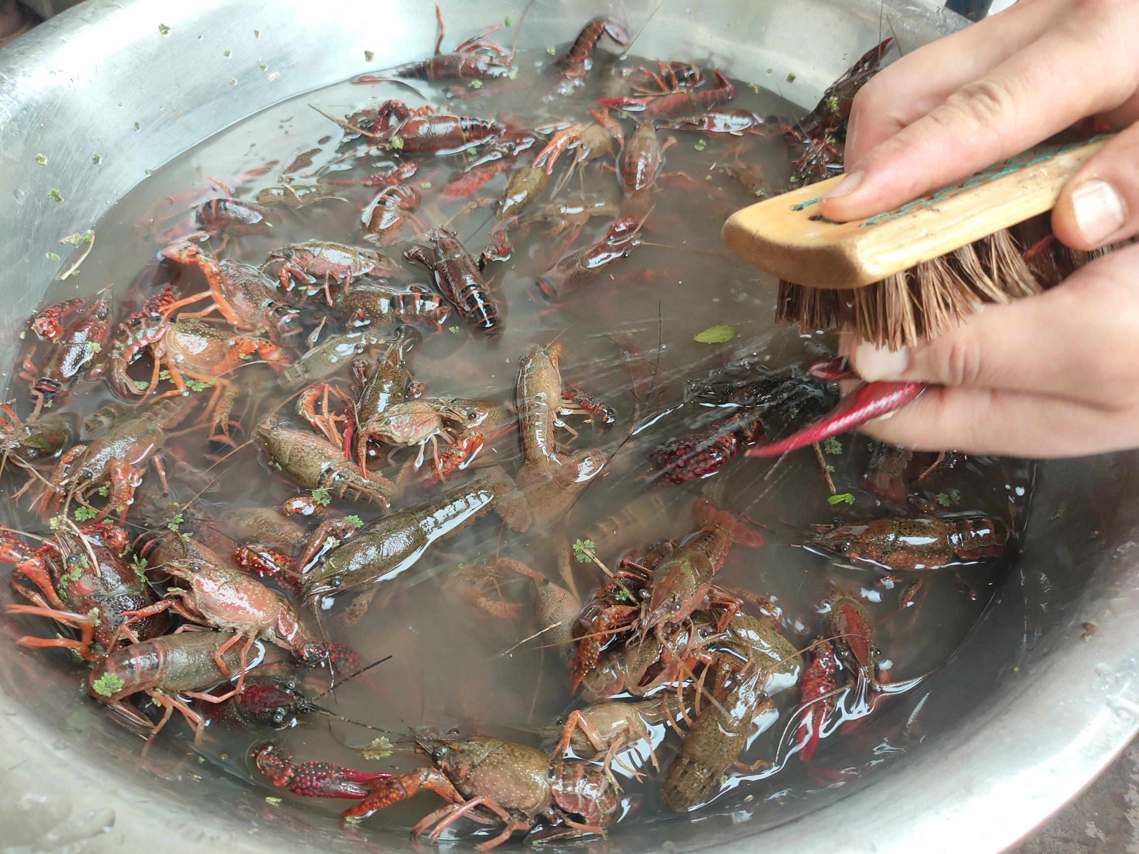 图片附件