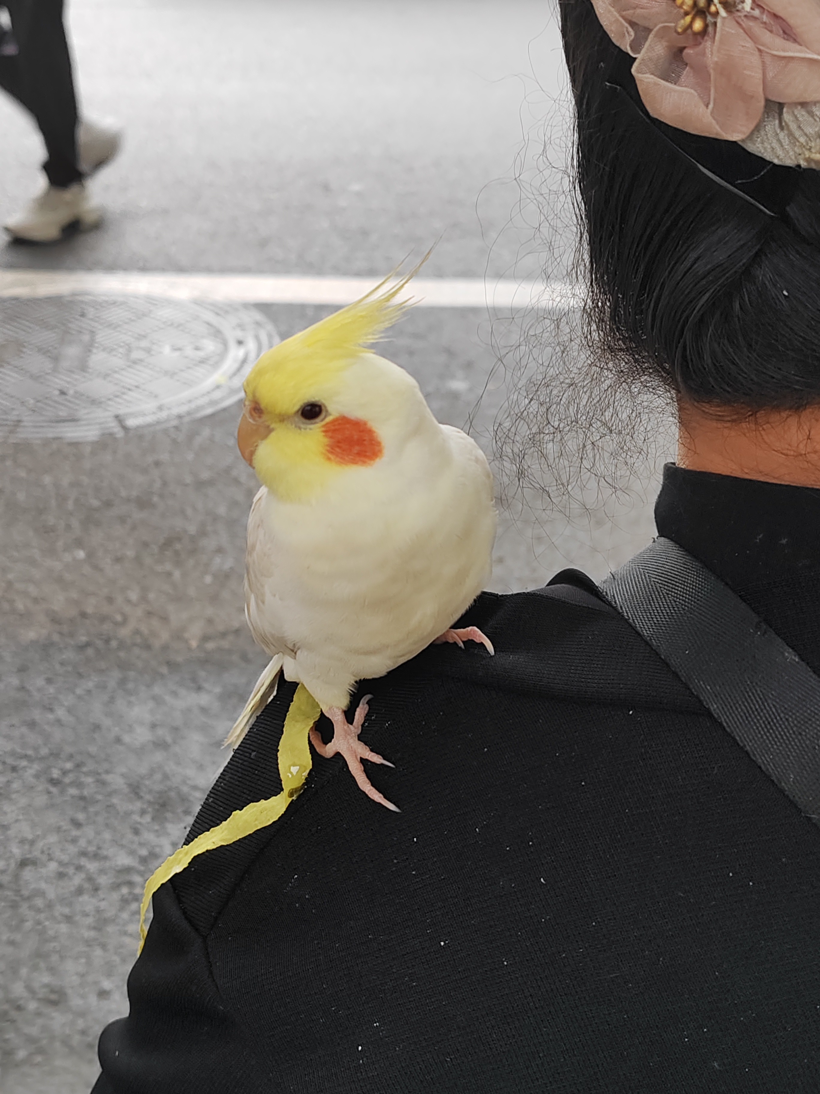 图片附件