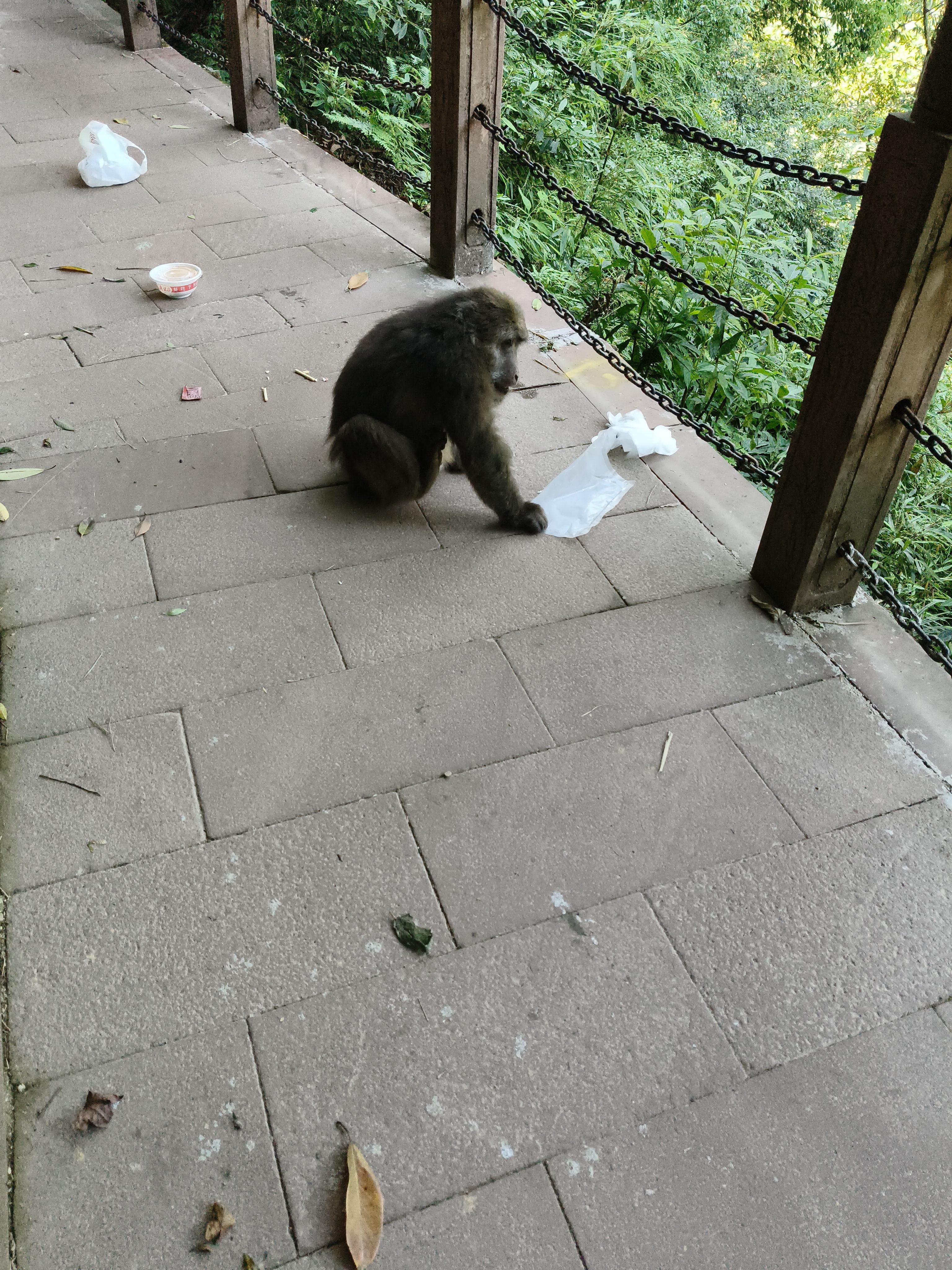 图片附件