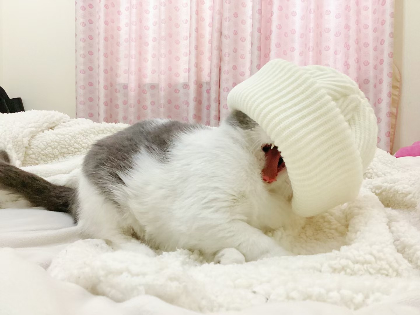 图片附件