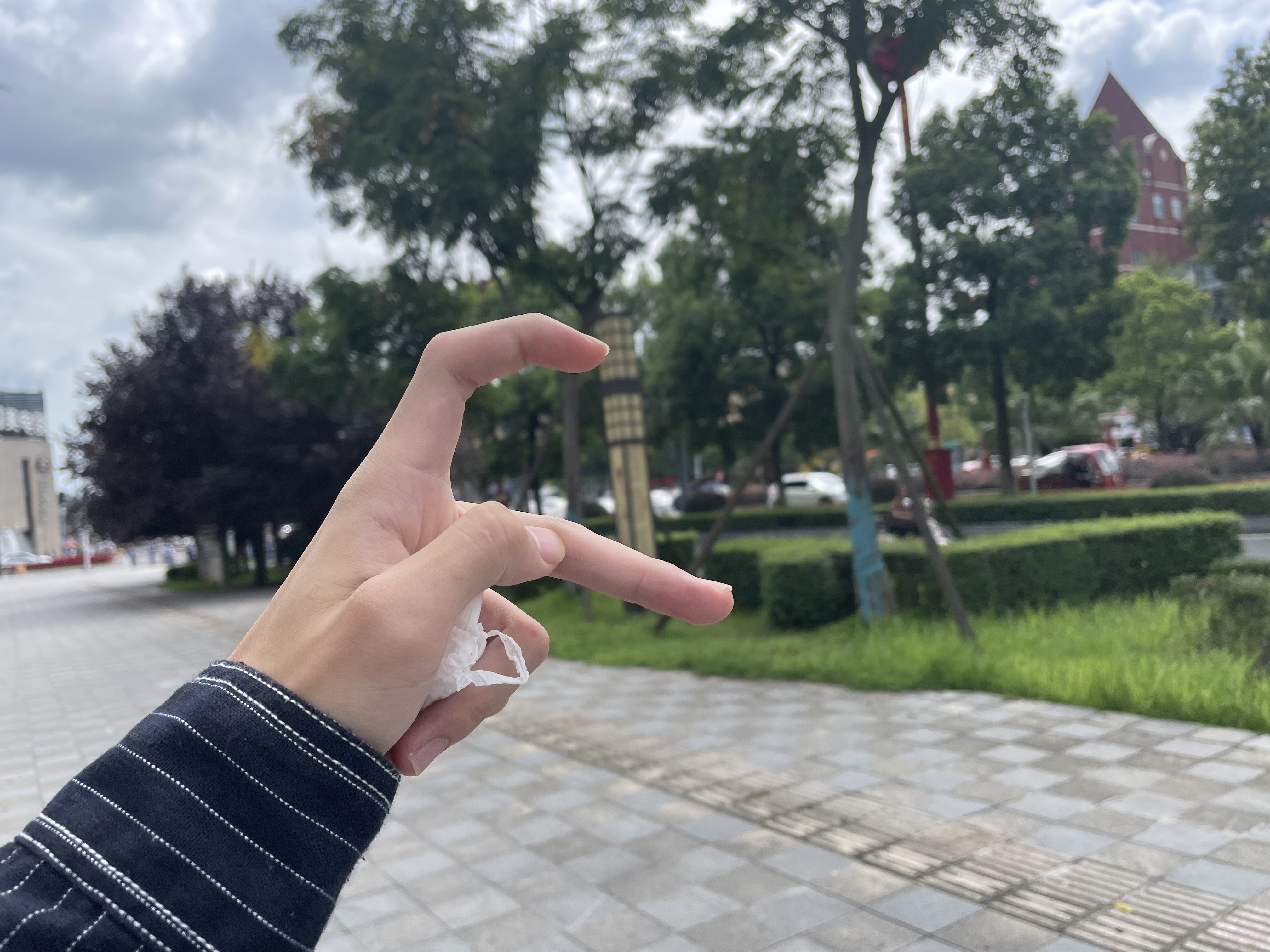 图片附件