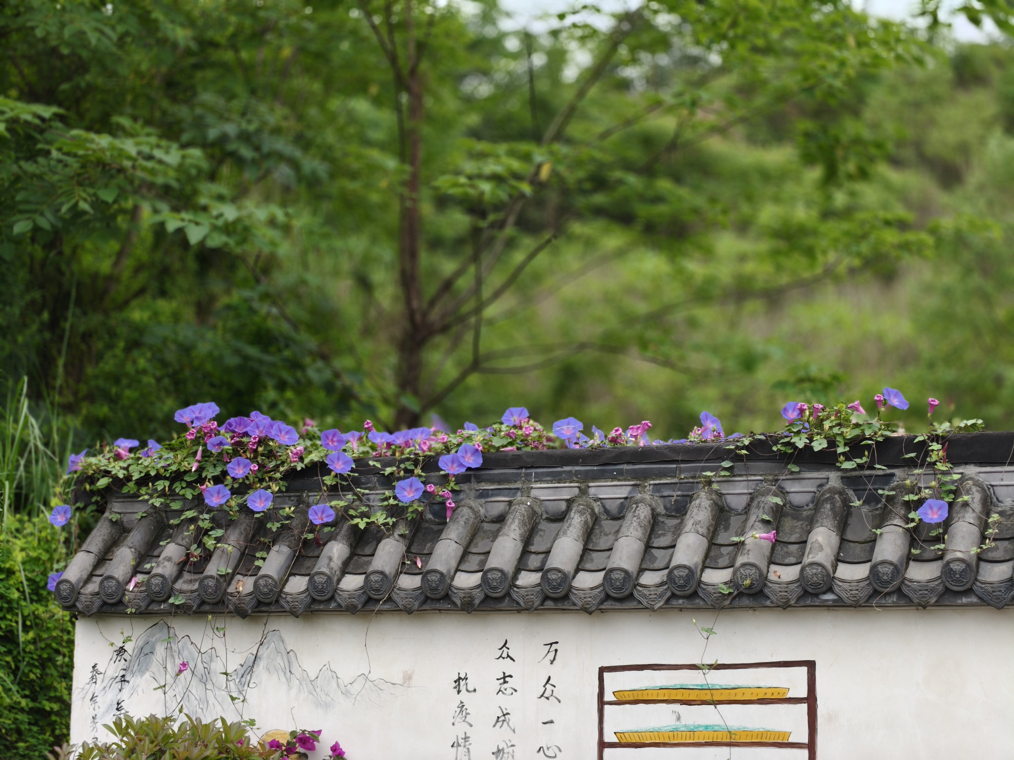 图片附件