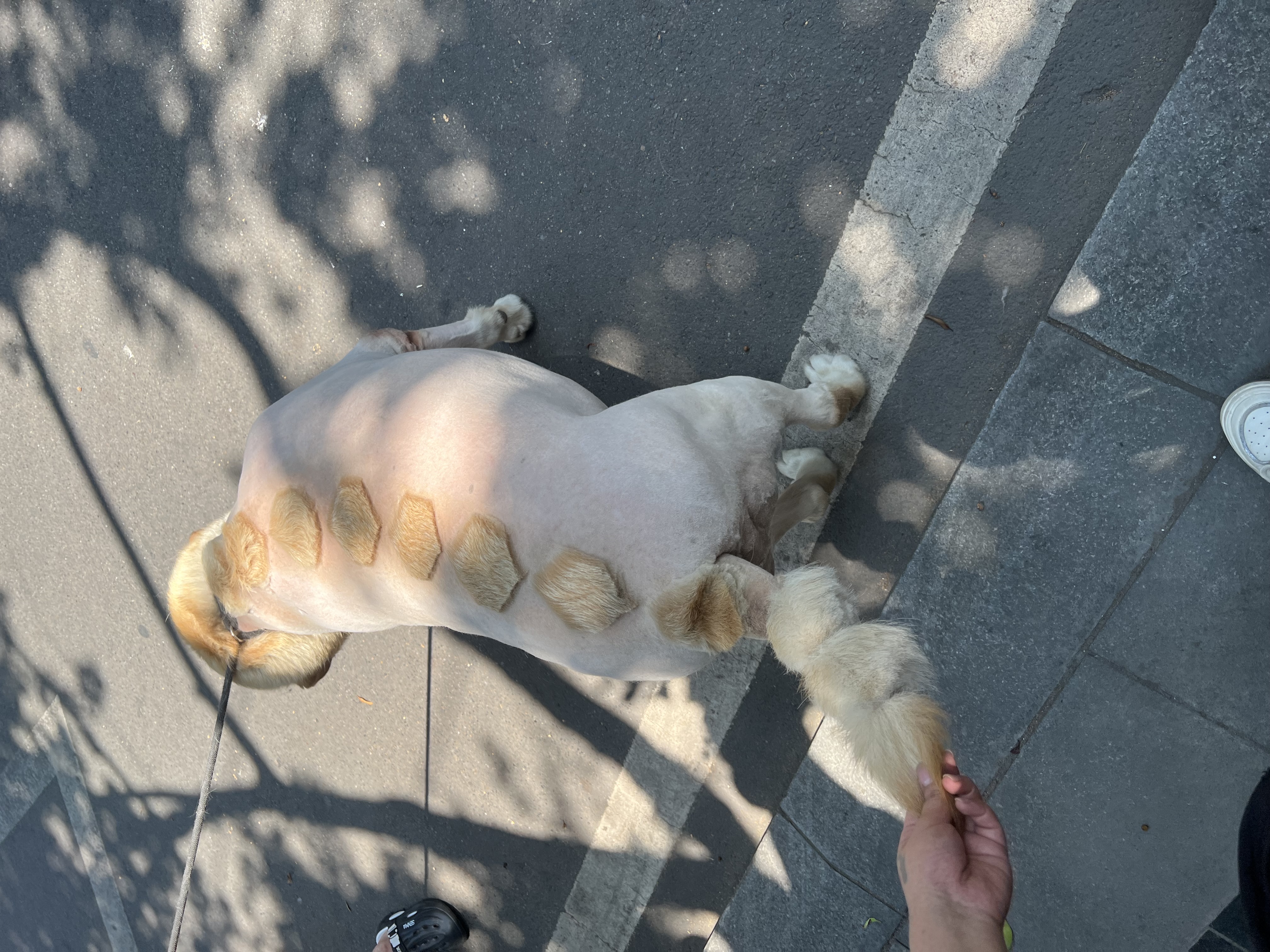 图片附件