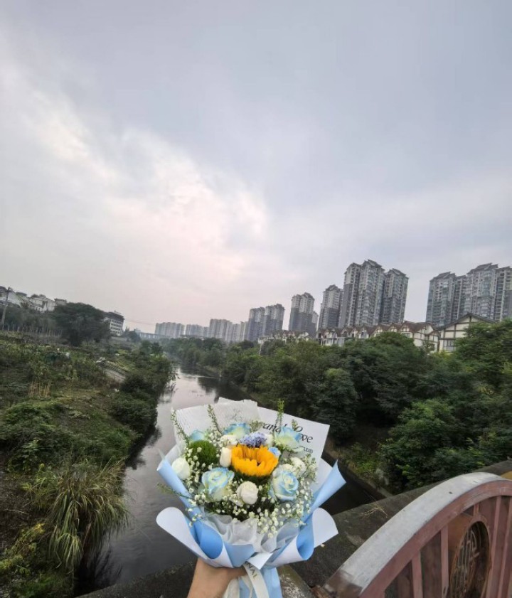 图片附件