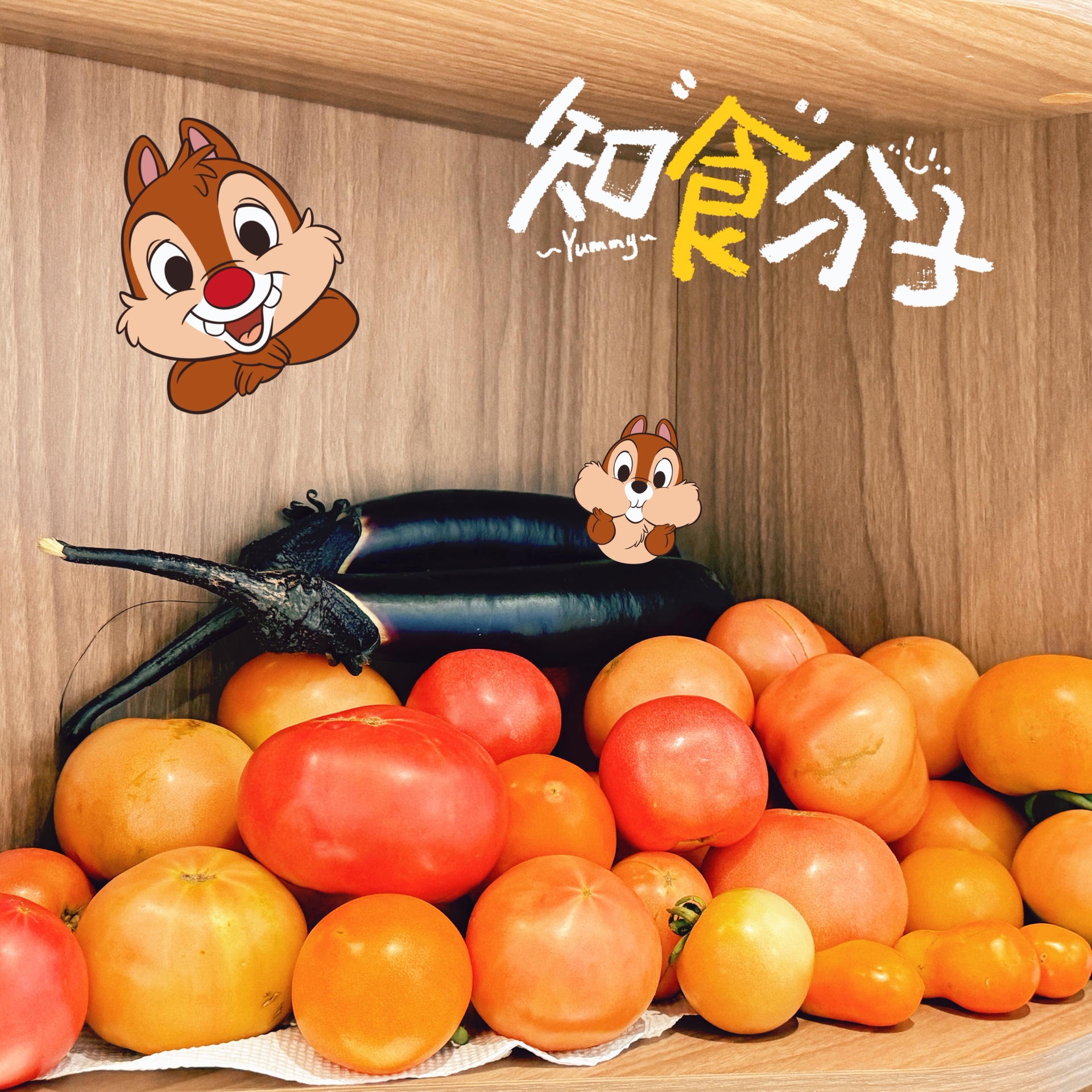 图片附件