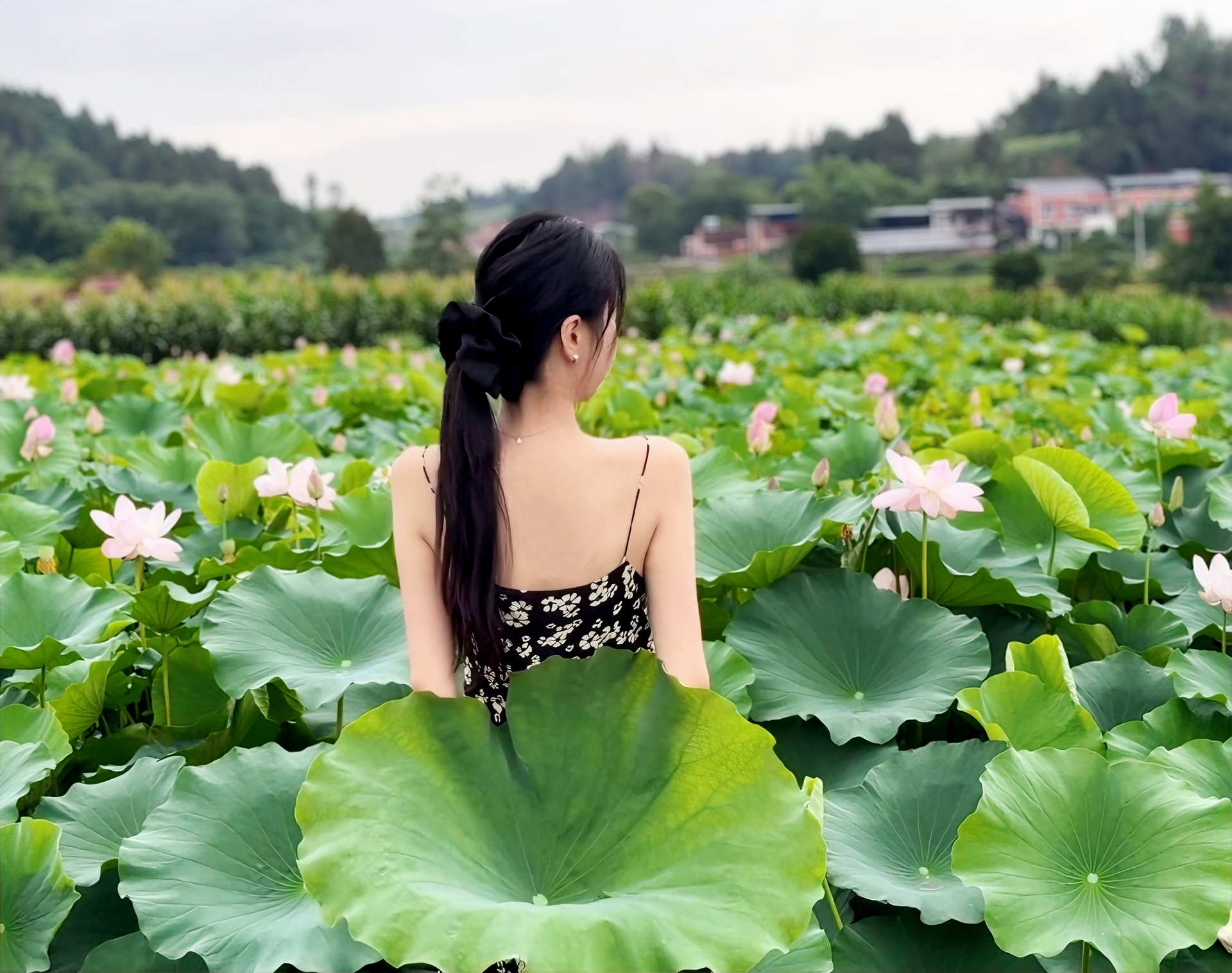 图片附件