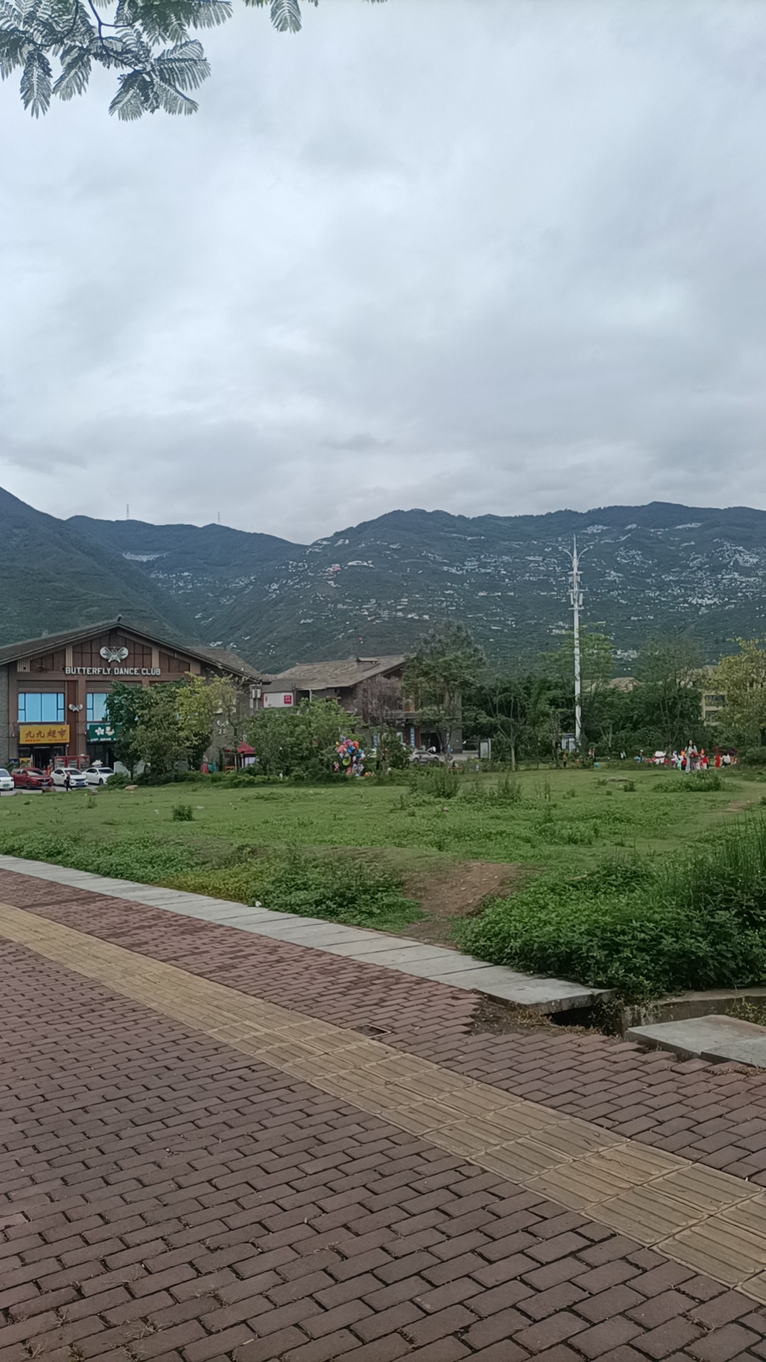 图片附件