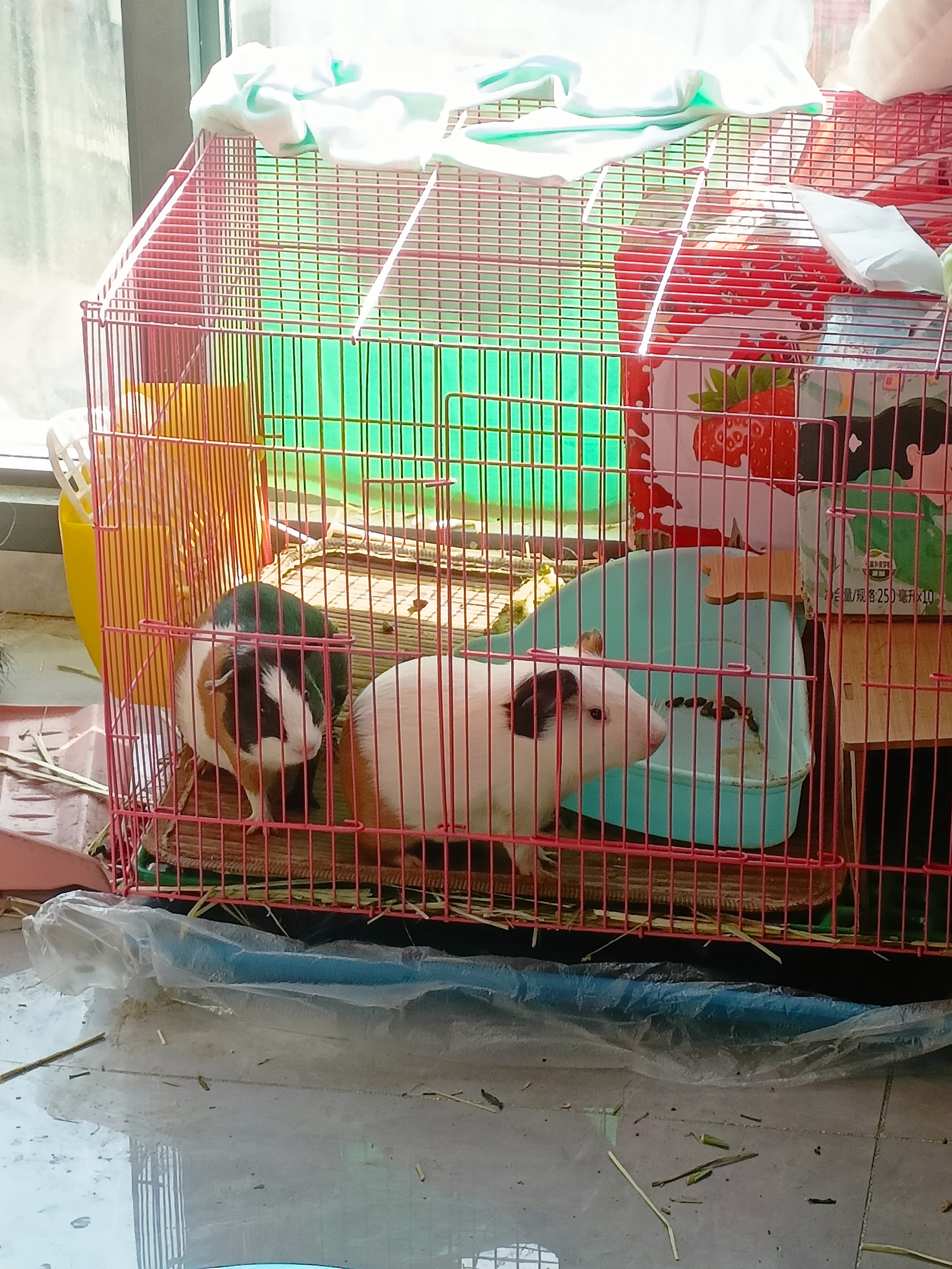 图片附件