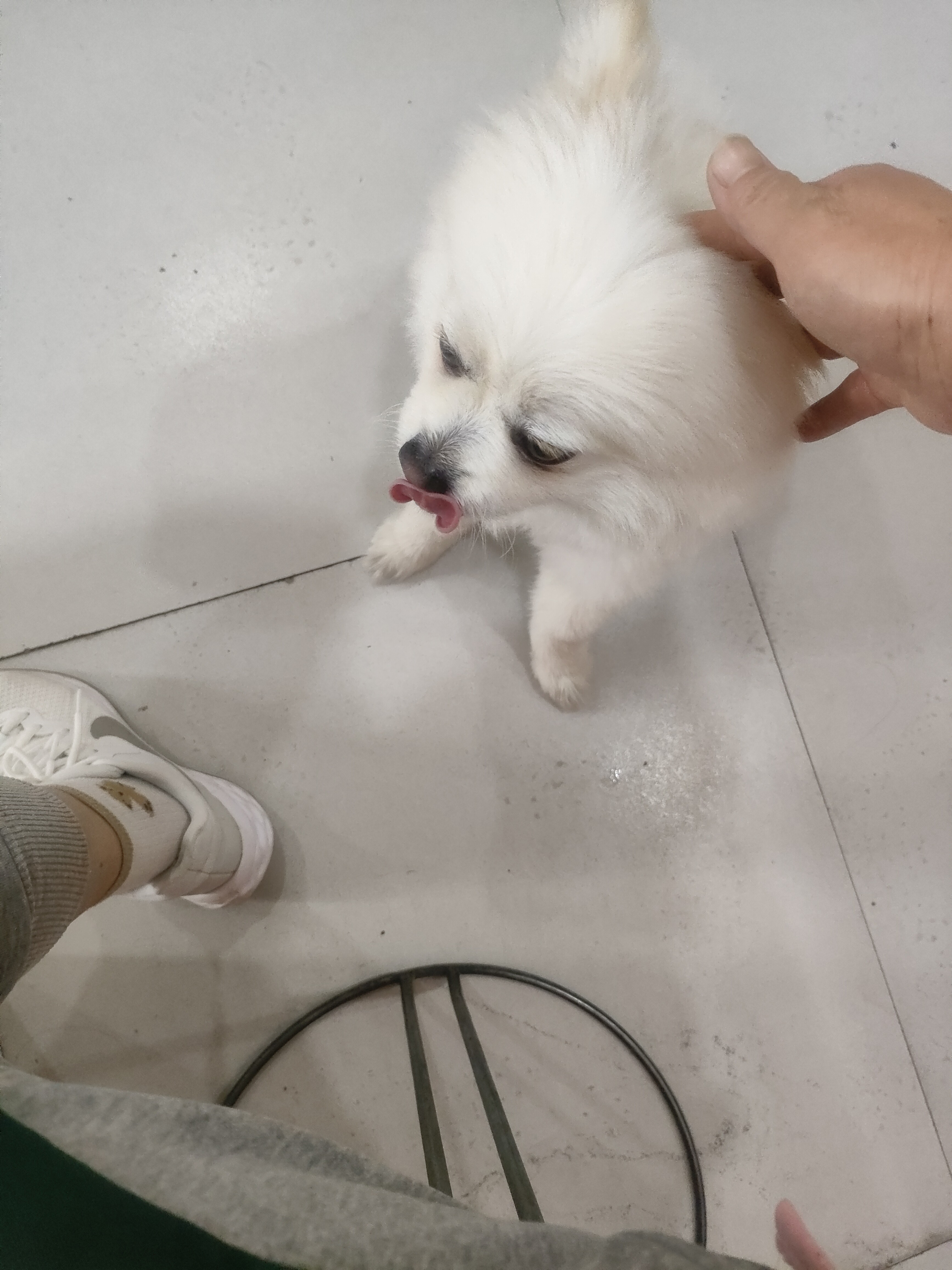 图片附件