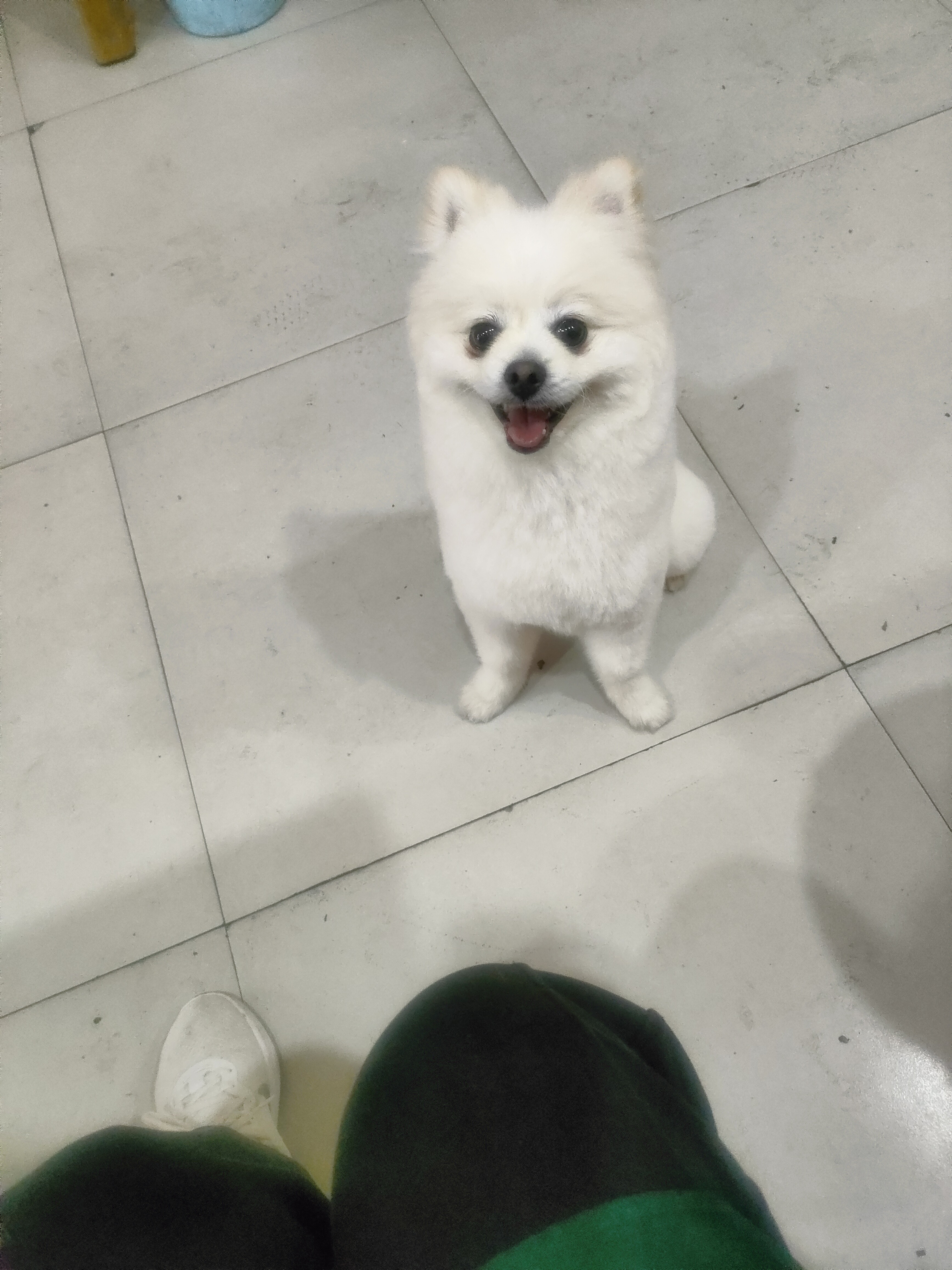 图片附件