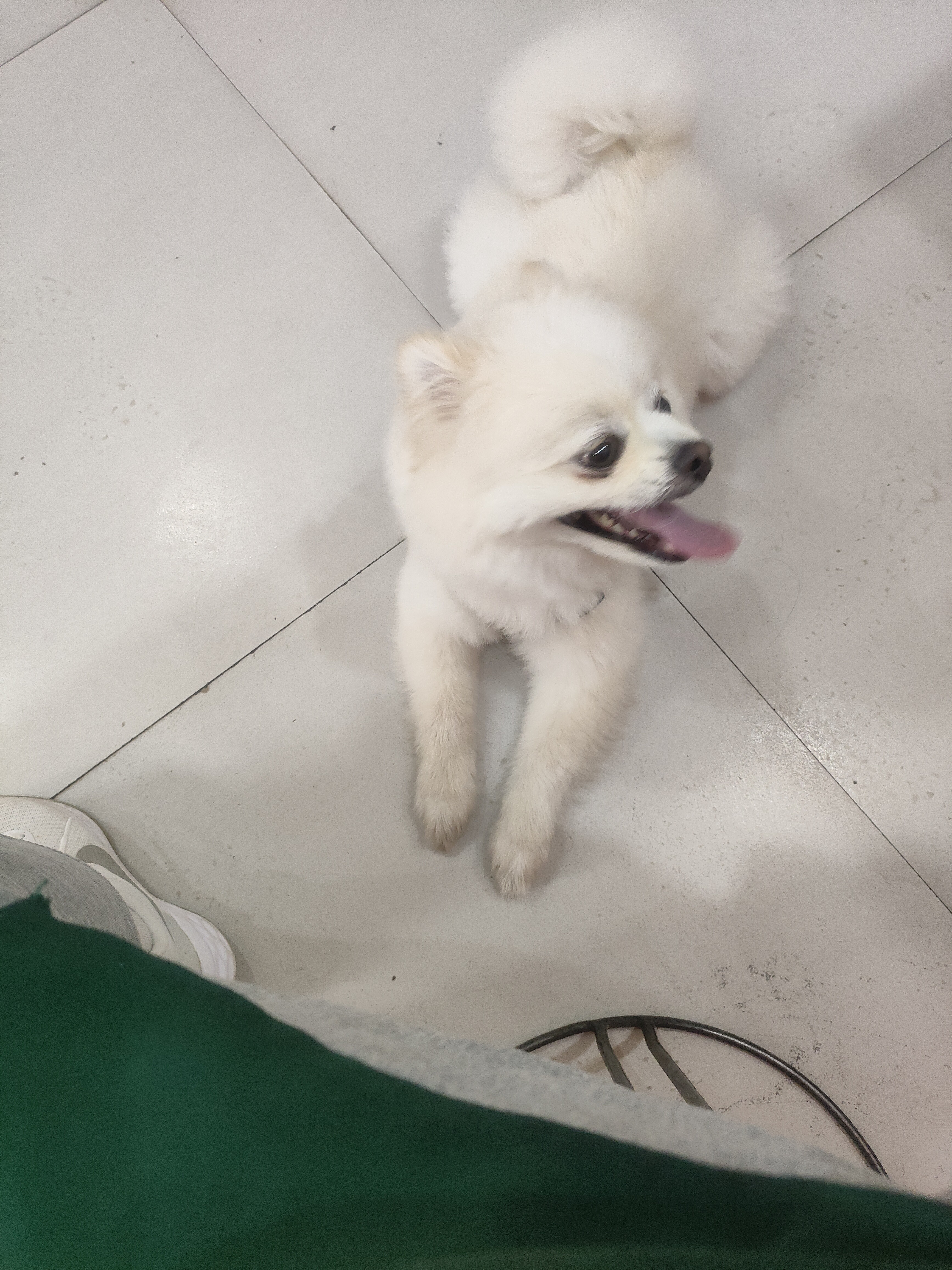 图片附件