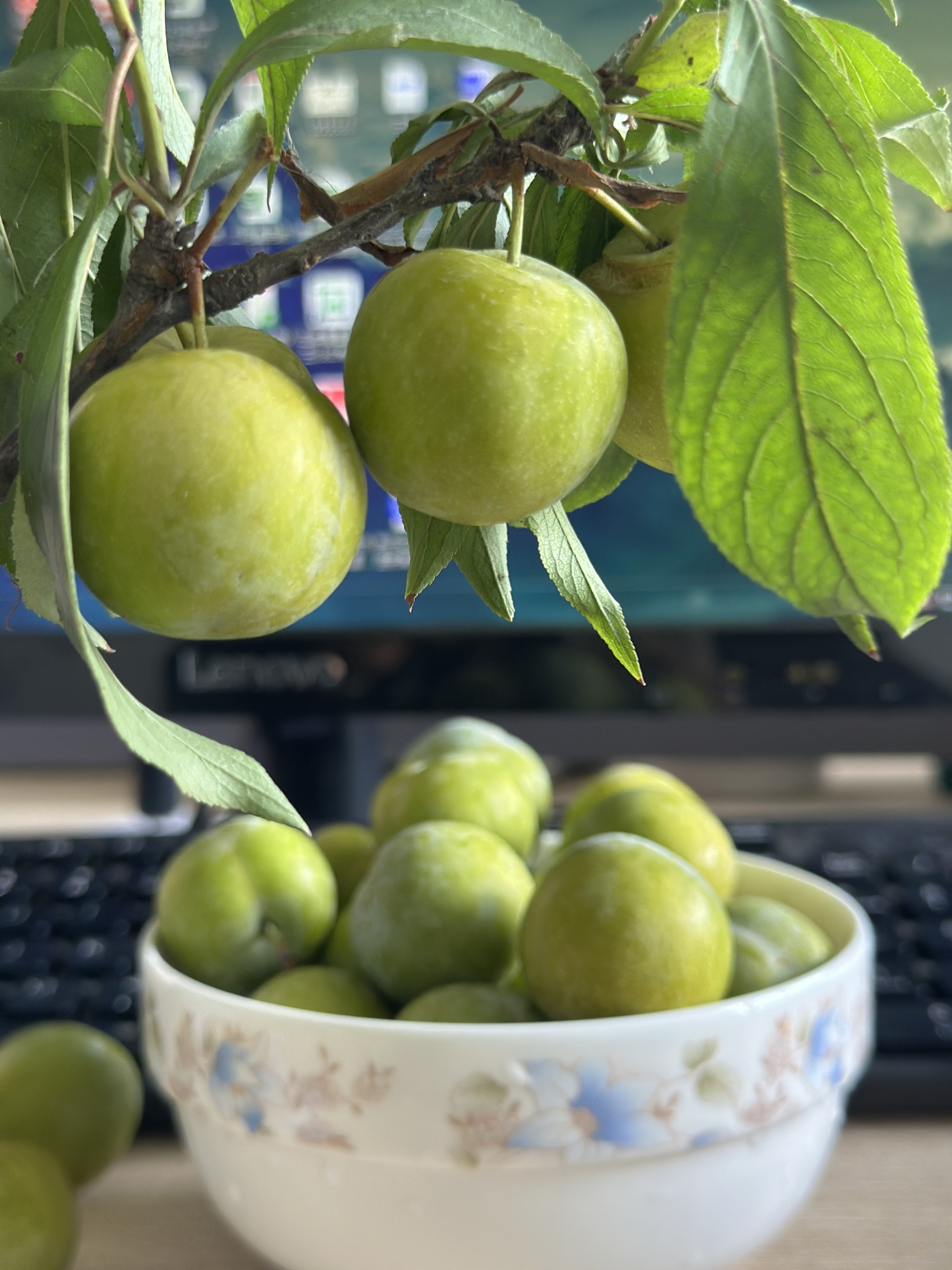 图片附件