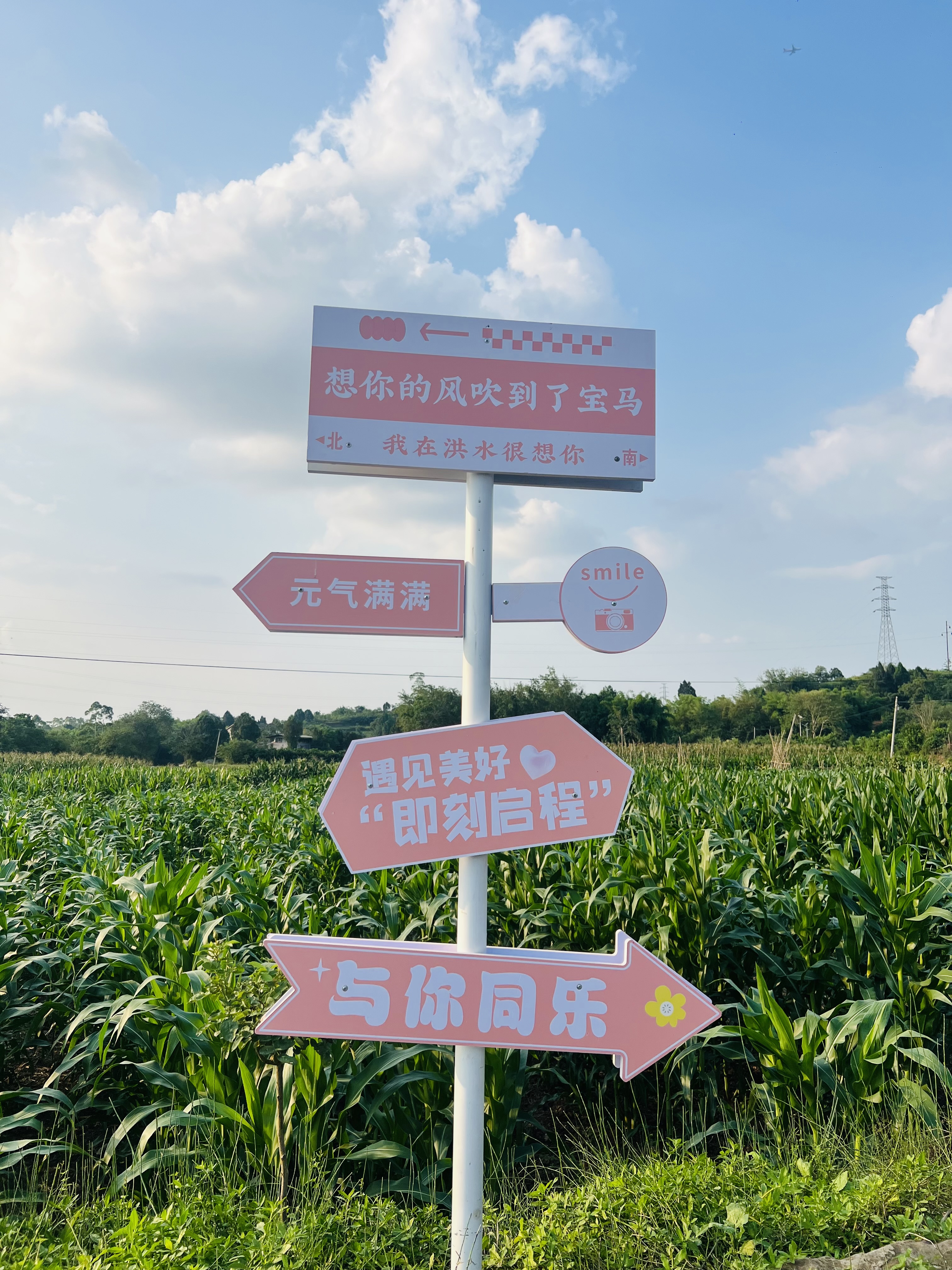 图片附件