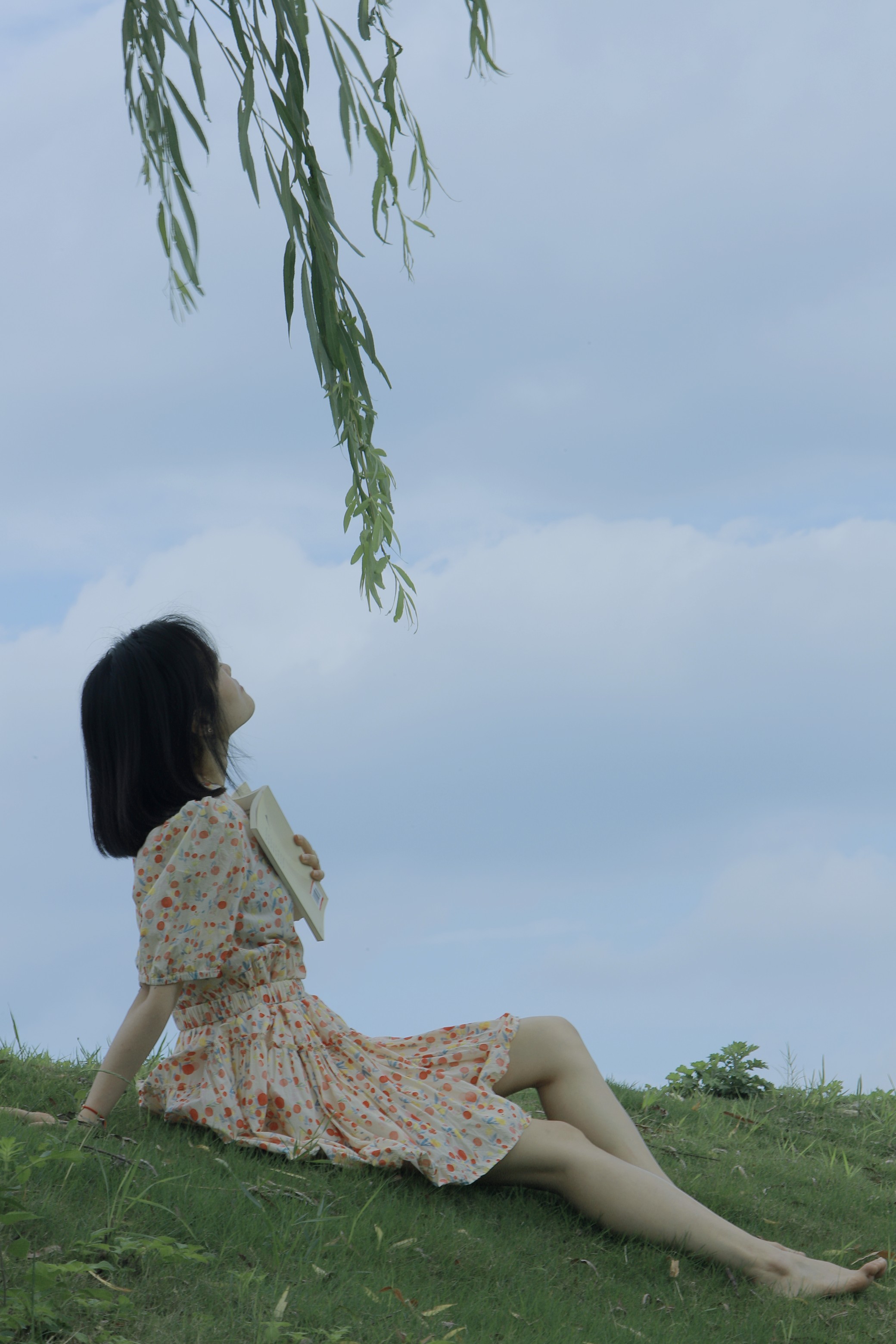 图片附件