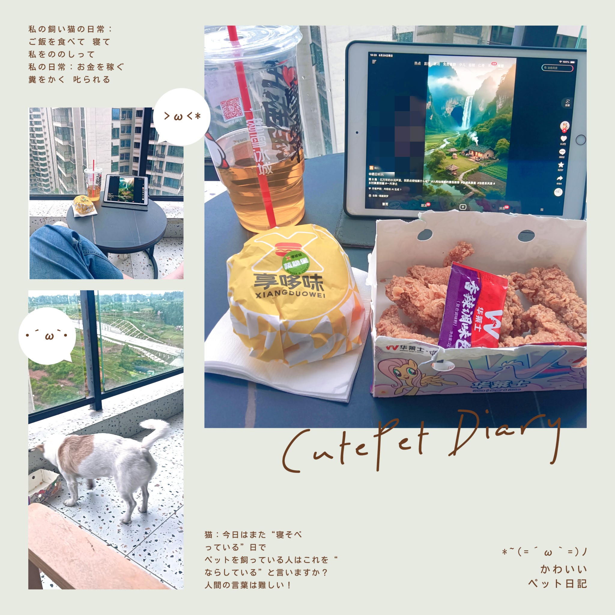 图片附件
