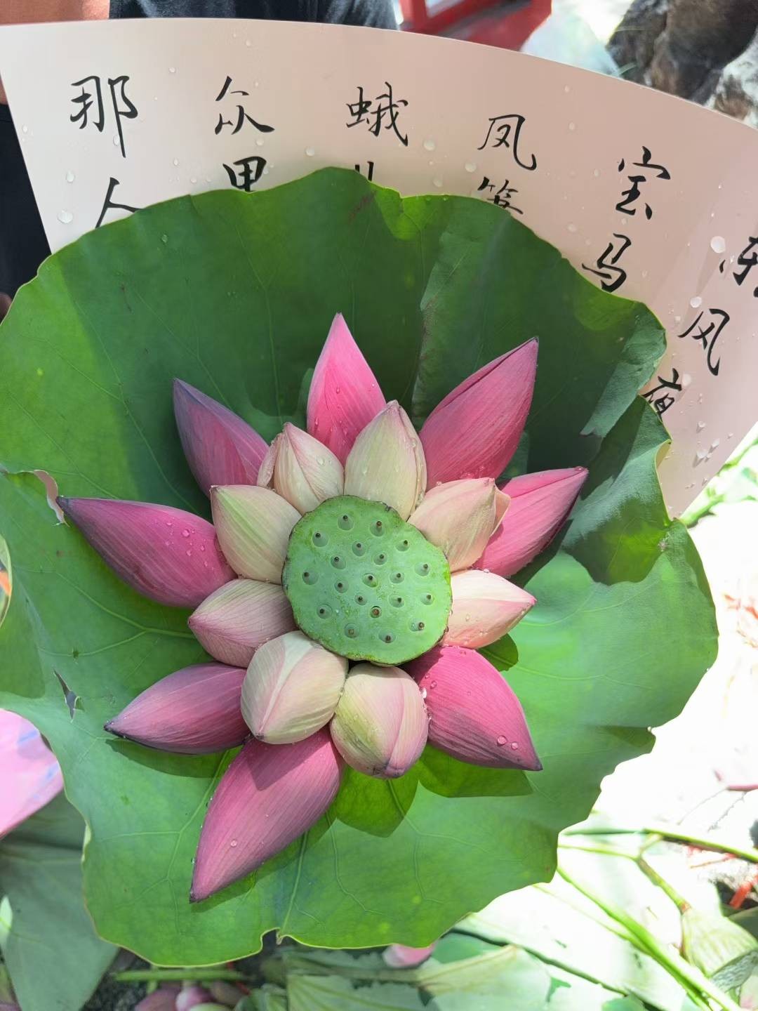 图片附件