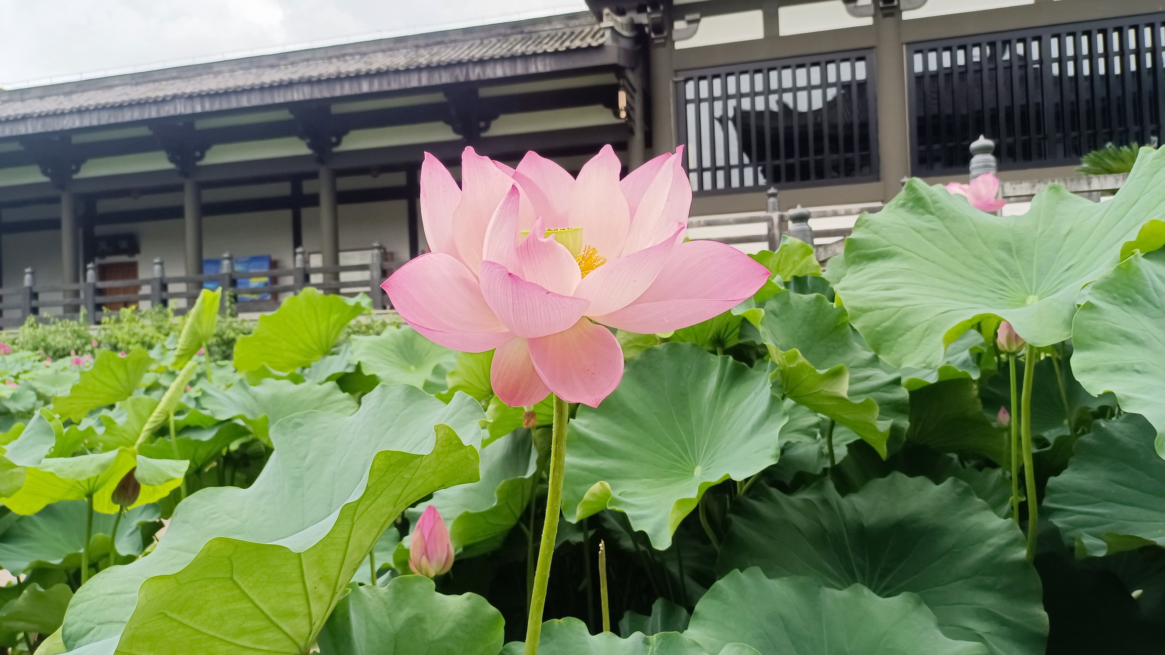图片附件
