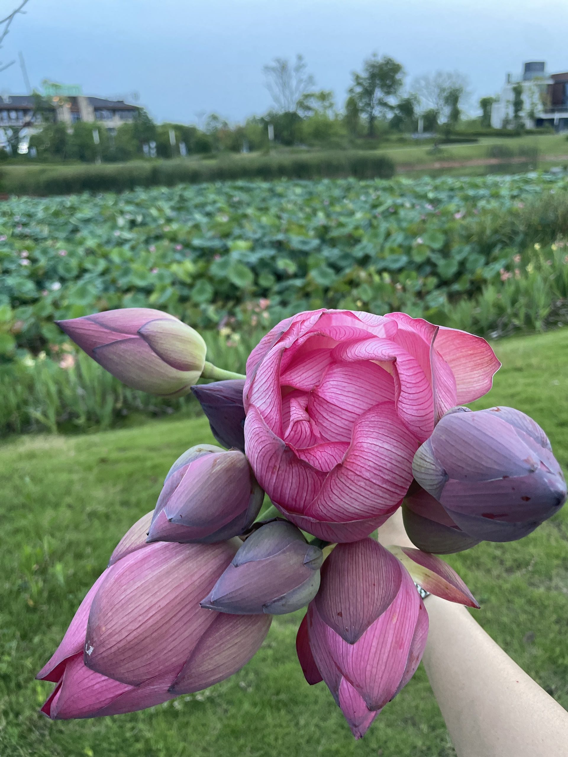 图片附件