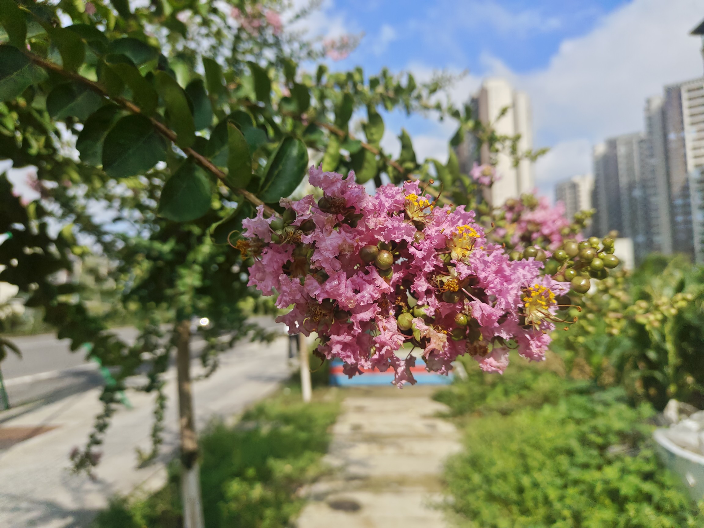 图片附件